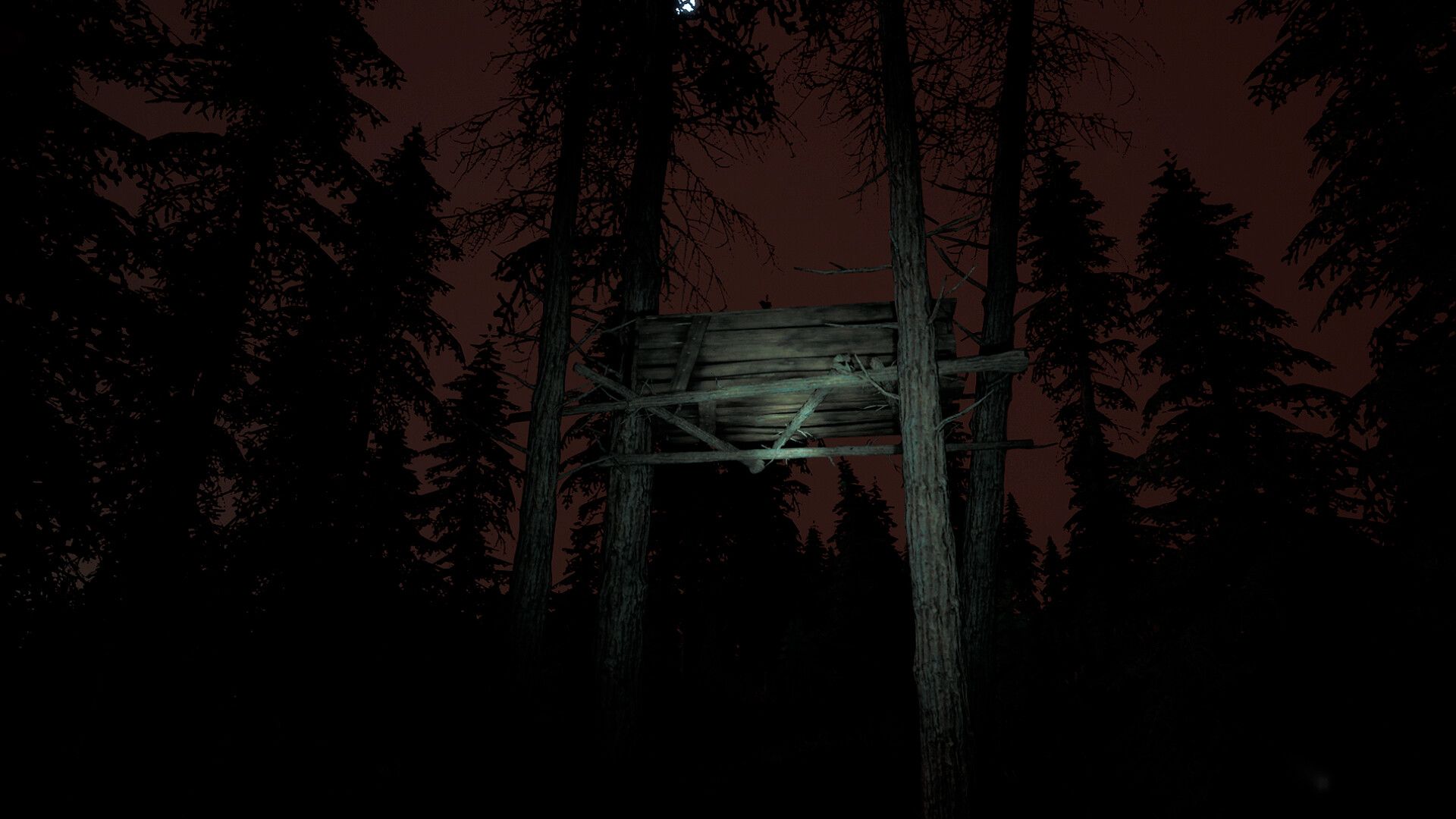 赛特的诅咒/Setteeh_0