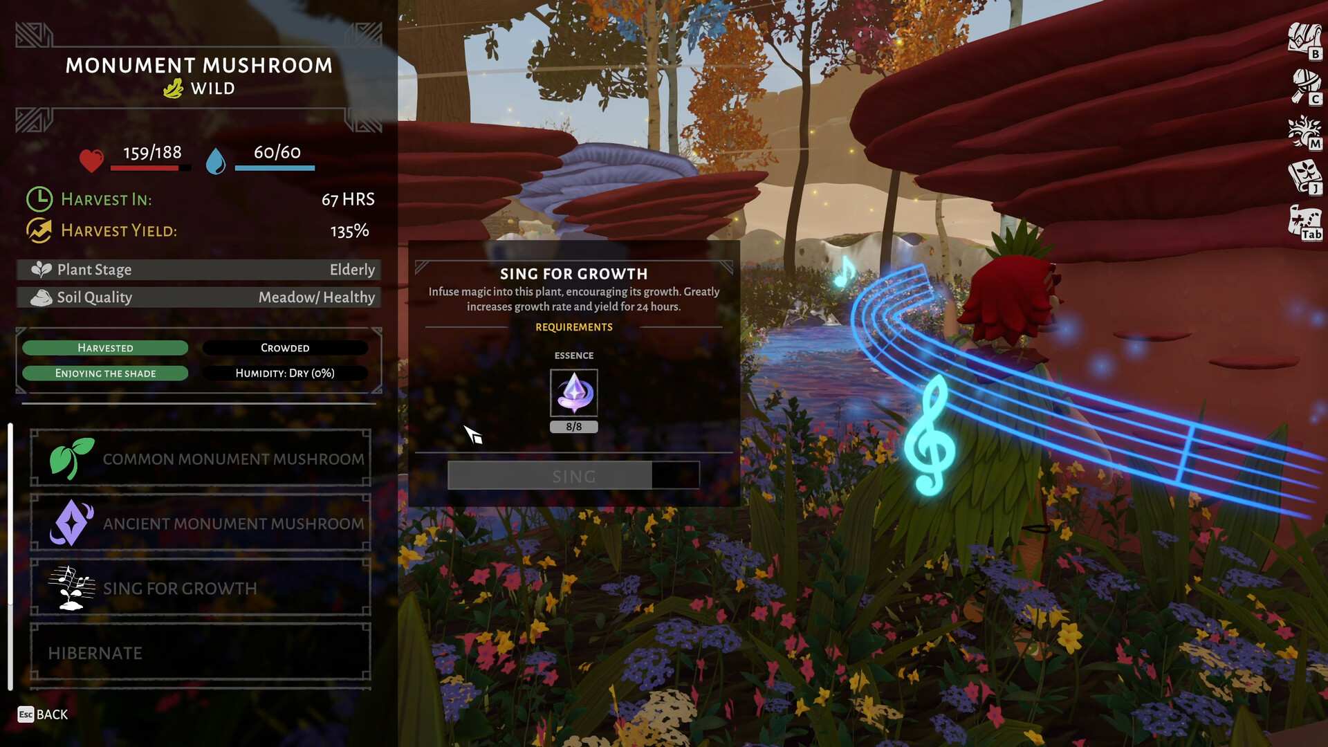 荒原疗者/Wildmender_4