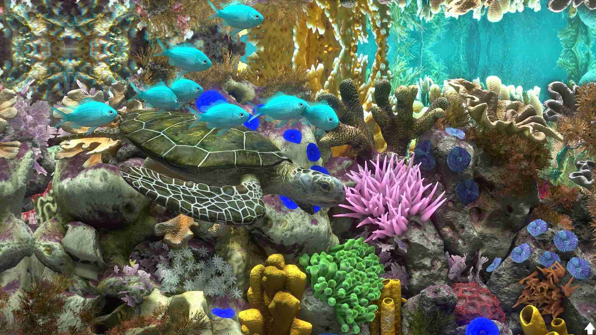 玻璃背后：水族馆模拟器/Behind Glass: Aquarium Simulator_1