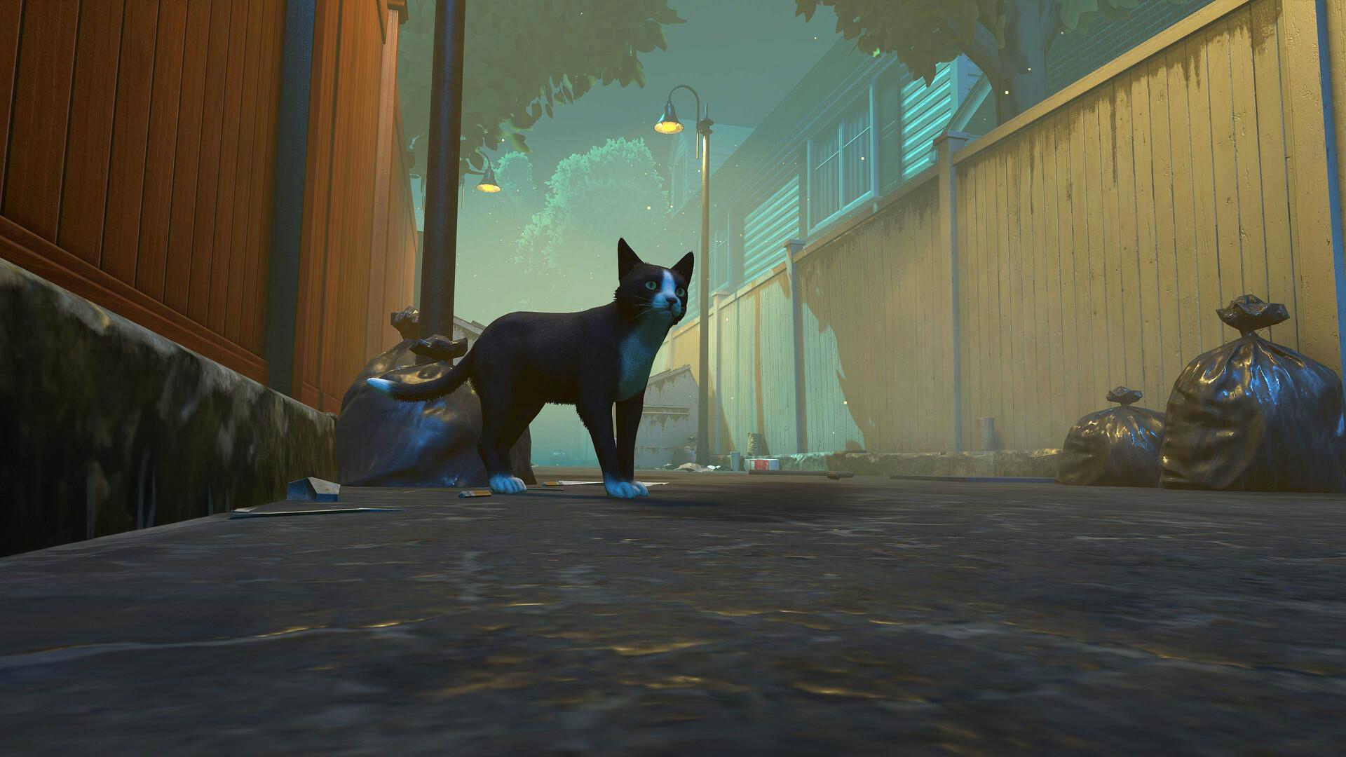 冒牌猫谜/Copycat_0