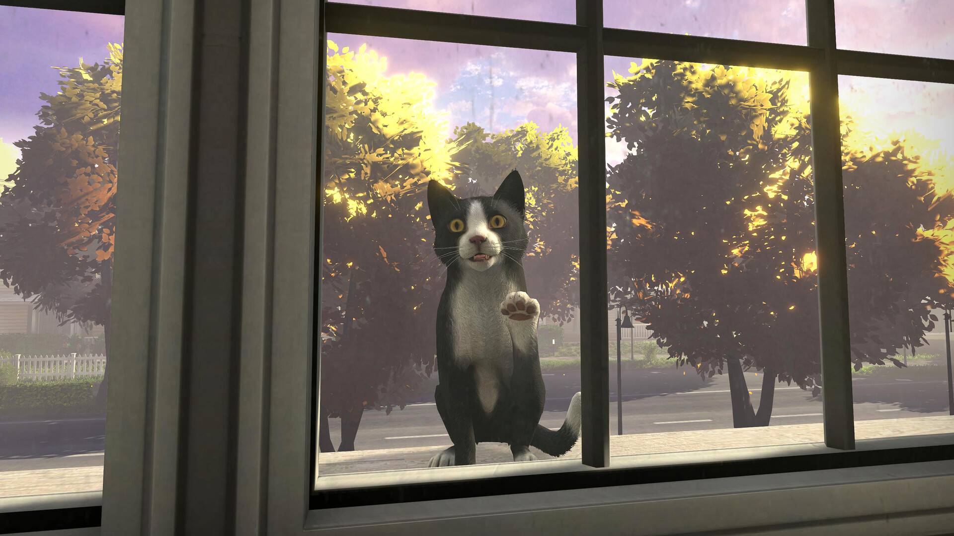 冒牌猫谜/Copycat_3