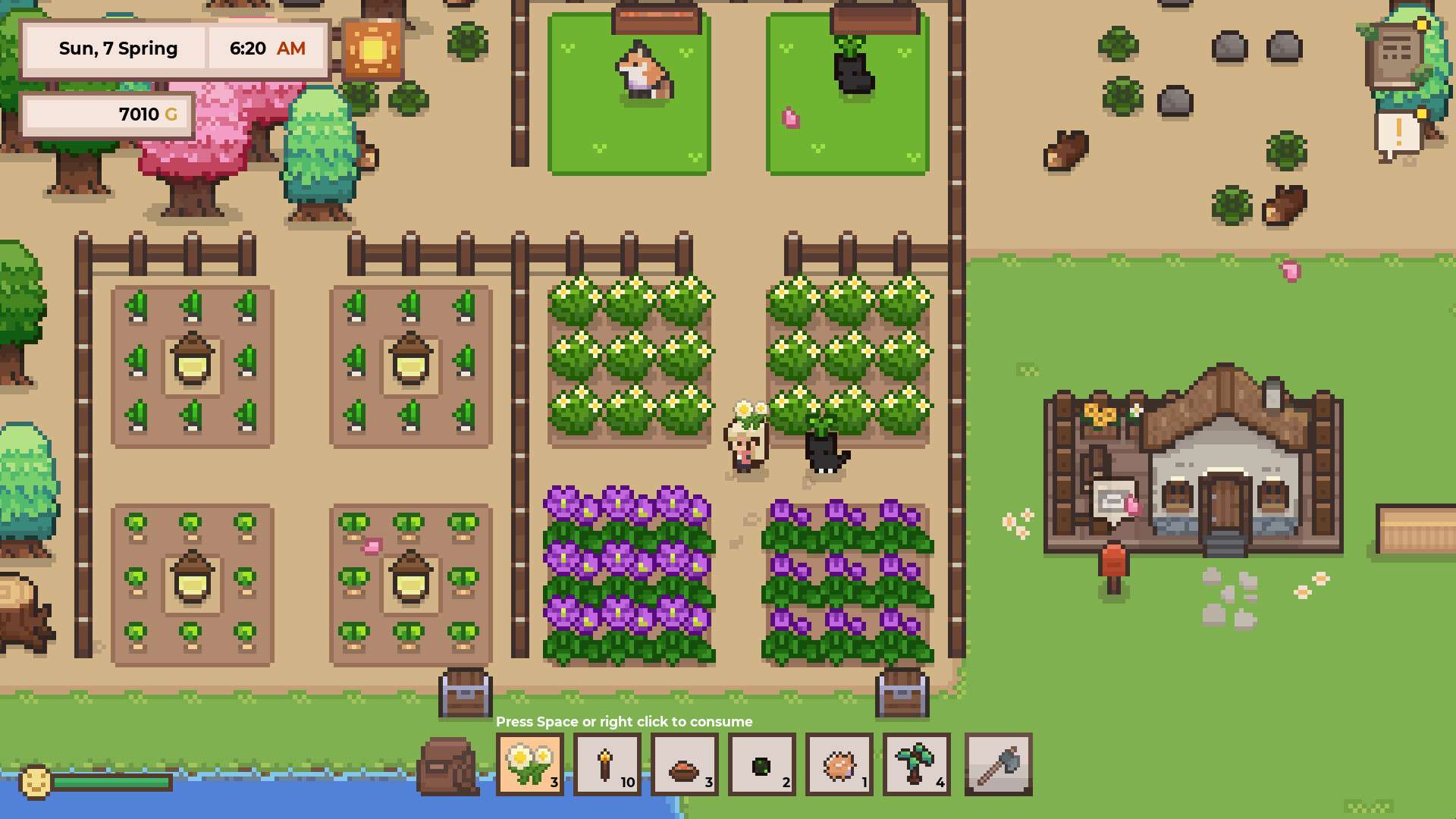 研究物语/Research Story_0