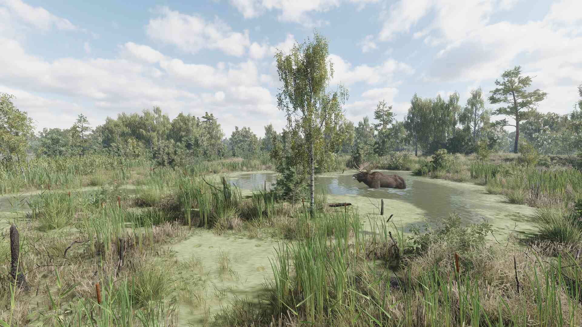 猎捕行动/On the Hunt_3