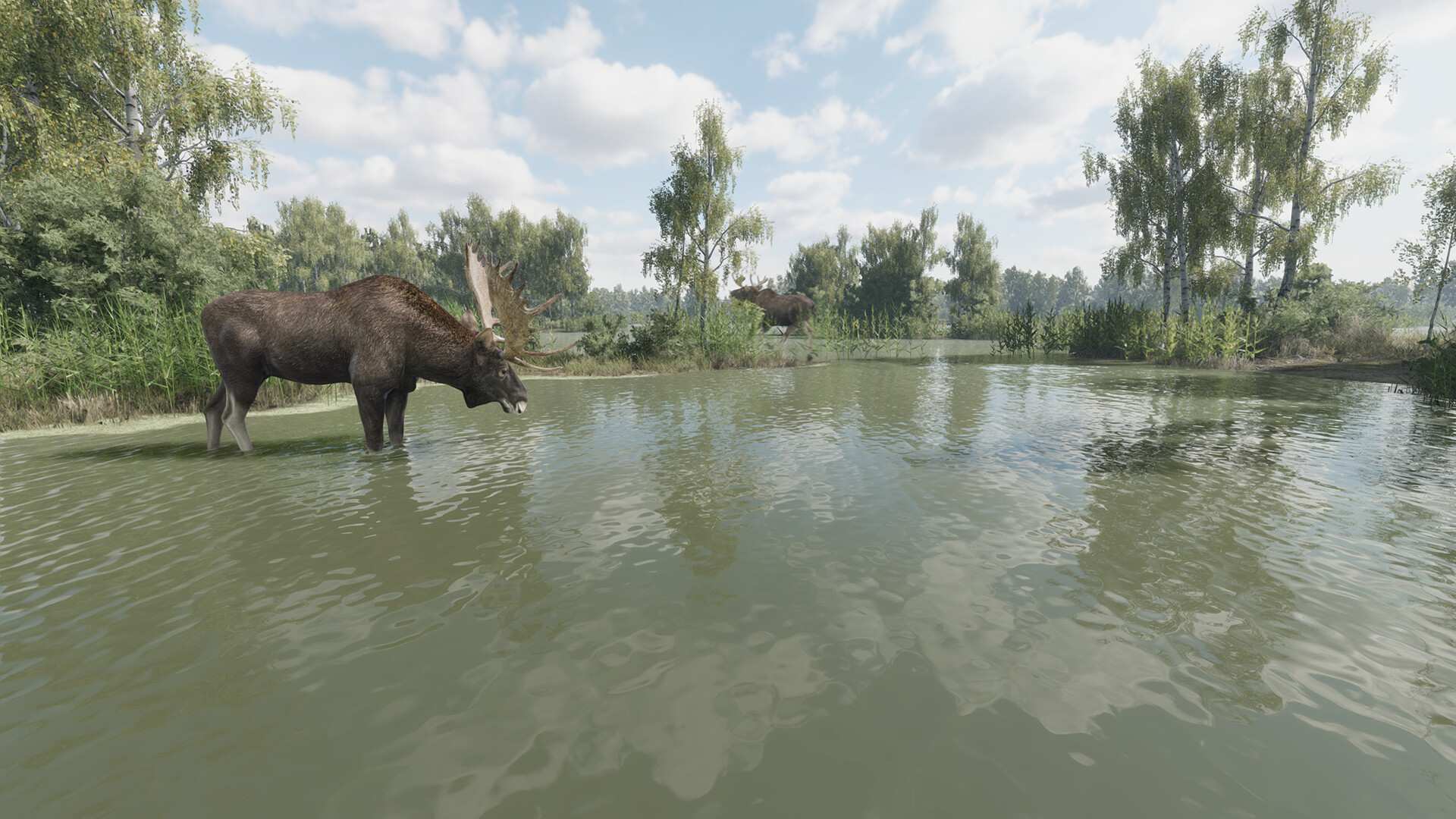 猎捕行动/On the Hunt_4