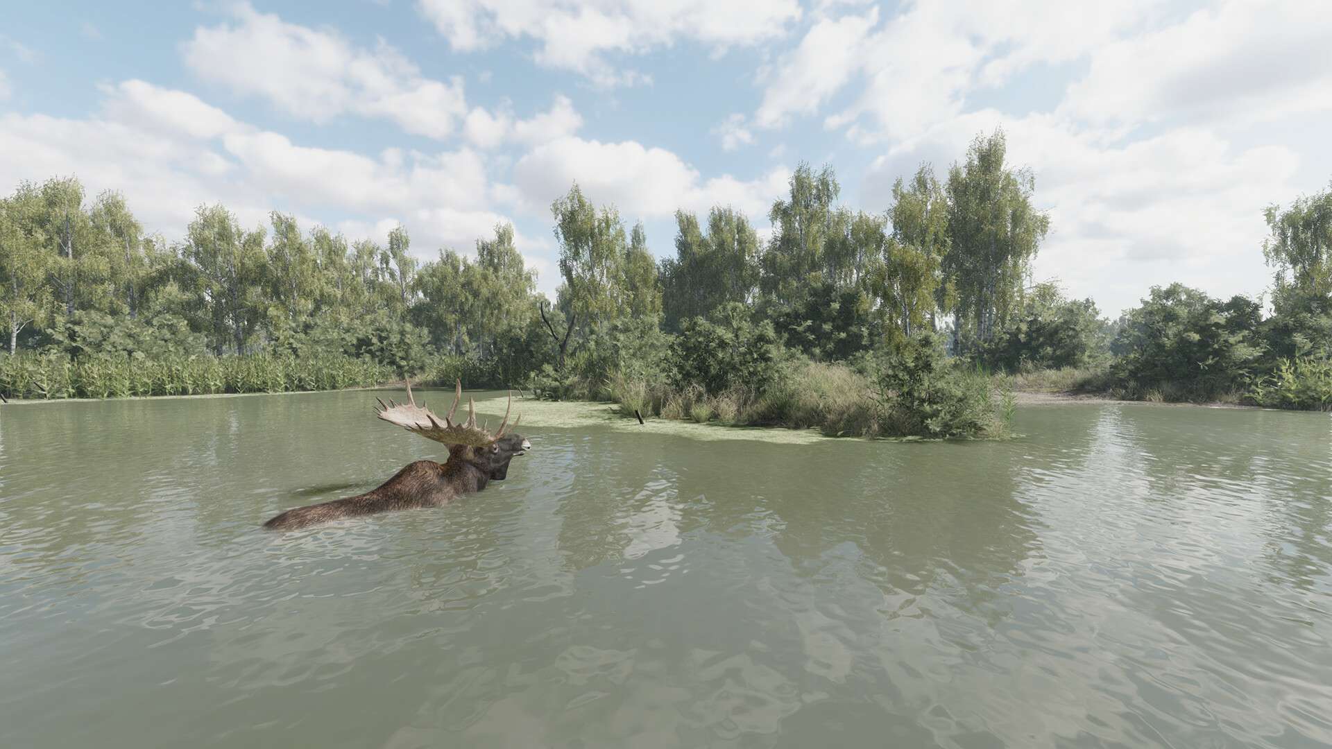 猎捕行动/On the Hunt_5