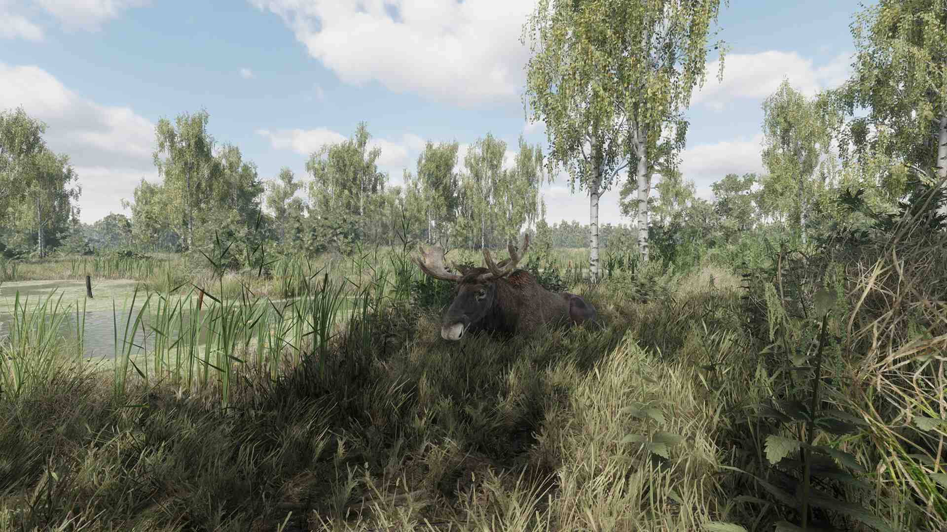 猎捕行动/On the Hunt_2