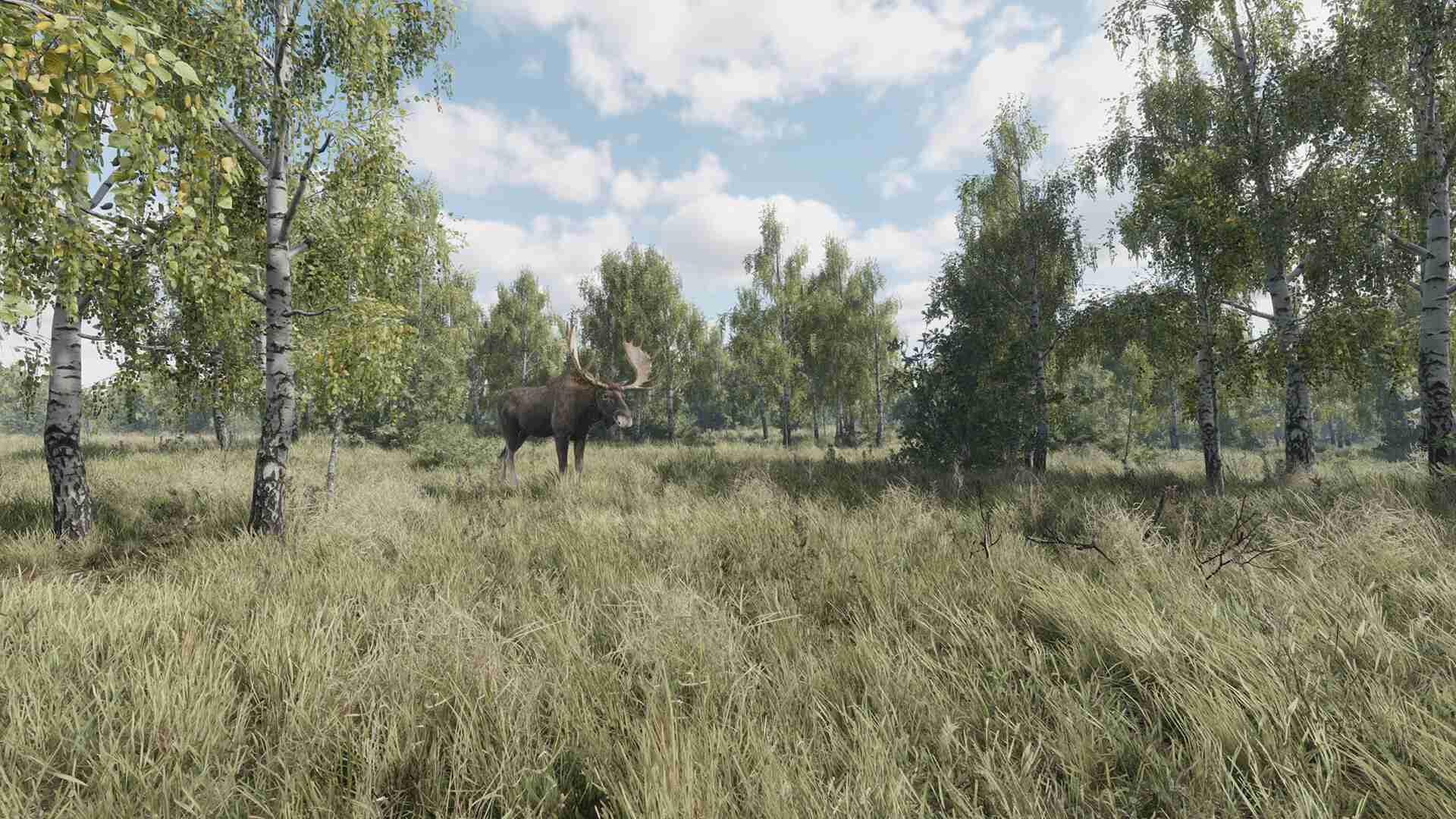 猎捕行动/On the Hunt_0