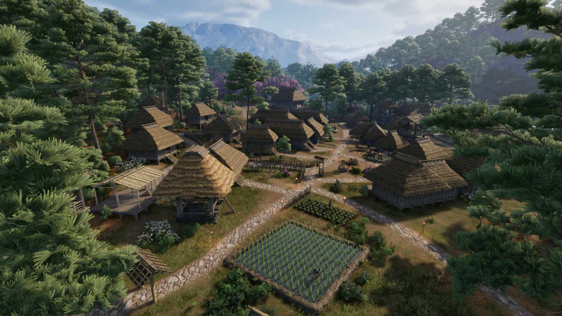 战国王朝/Sengoku Dynasty/支持网络联机_0