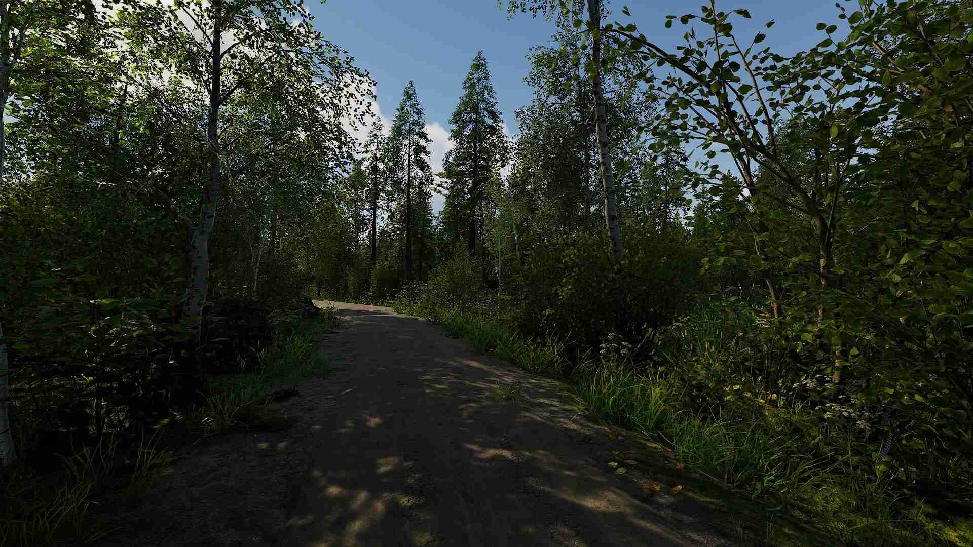 芬兰小屋模拟器/Finnish Cottage Simulator_2