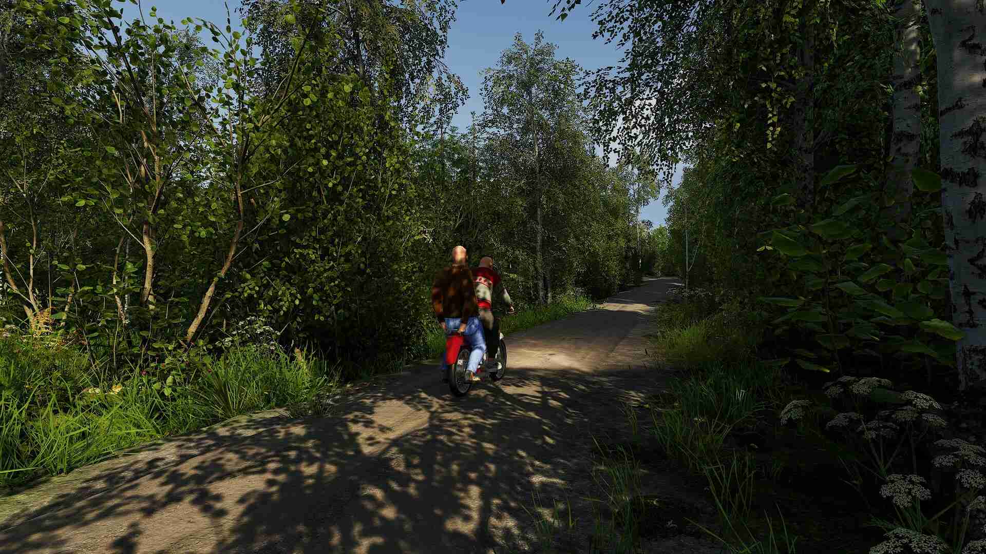 芬兰小屋模拟器/Finnish Cottage Simulator_1