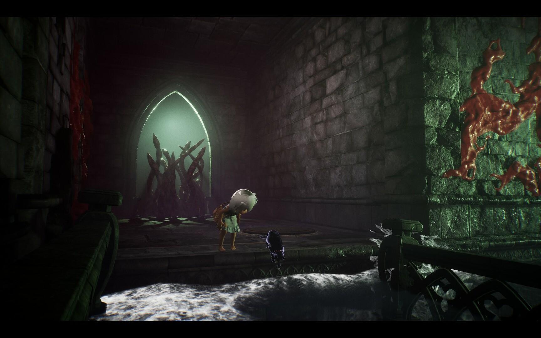 LIGHT：黑色小猫与失忆少女/LIGHT: Black Cat & Amnesia Girl_0