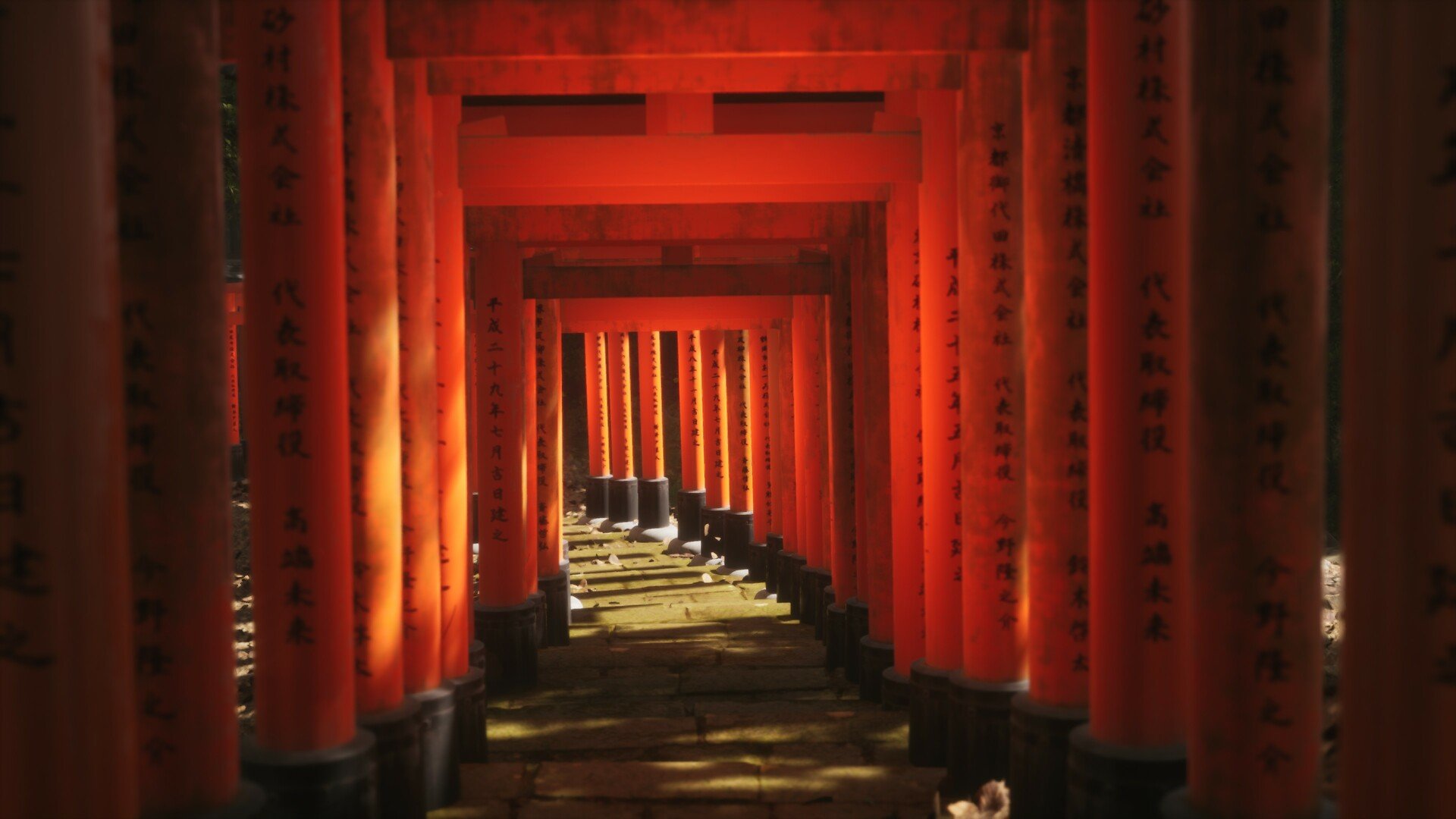 模拟美景摄影/Lushfoil Photography Sim_1