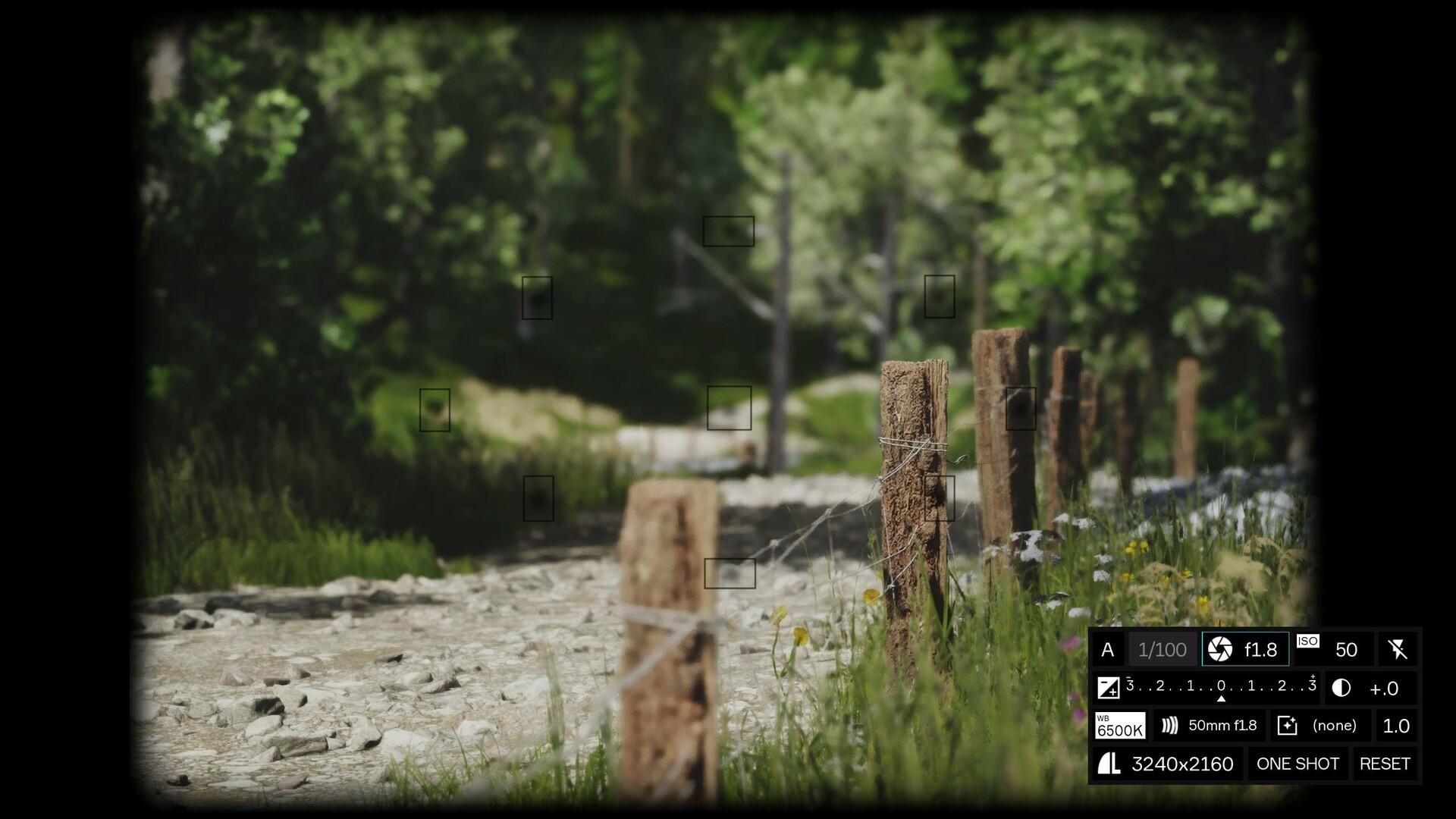 模拟美景摄影/Lushfoil Photography Sim_3