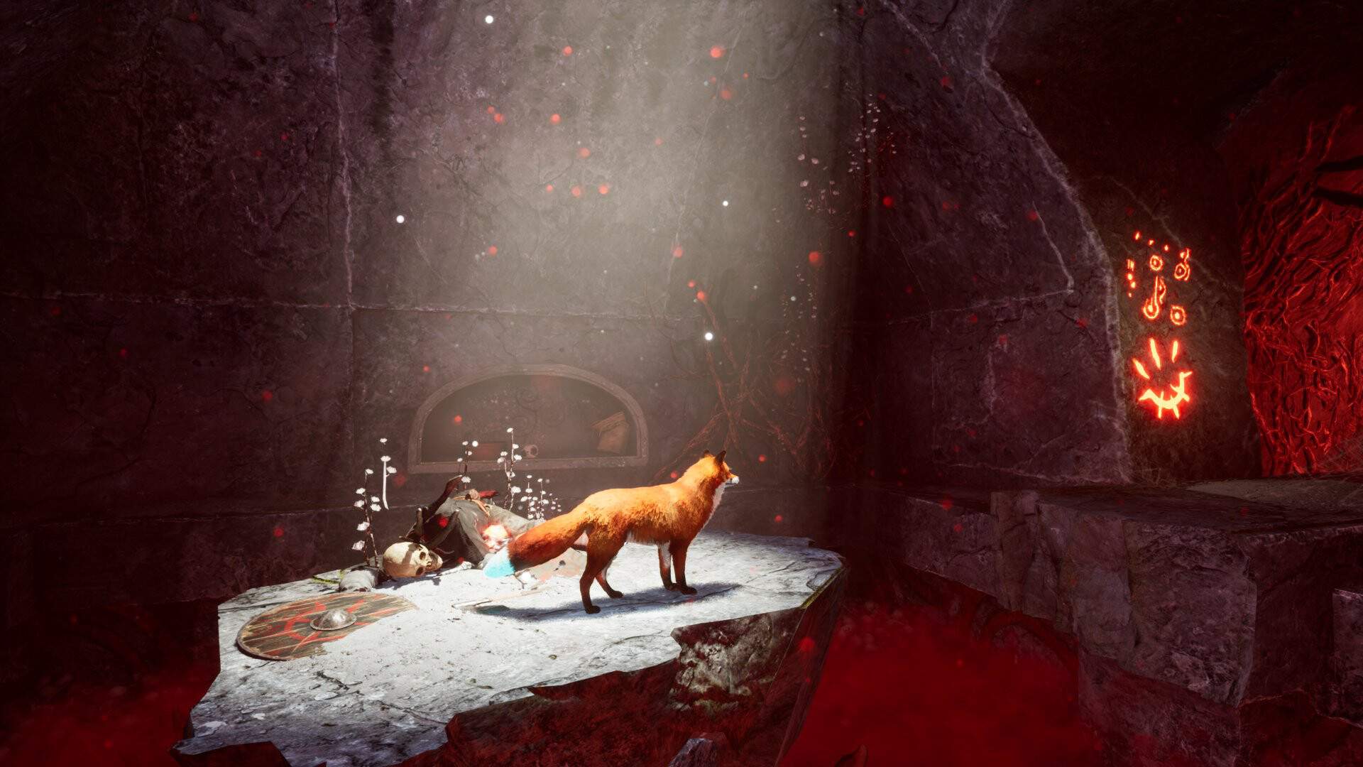 北方之灵2/Spirit of the North 2_3