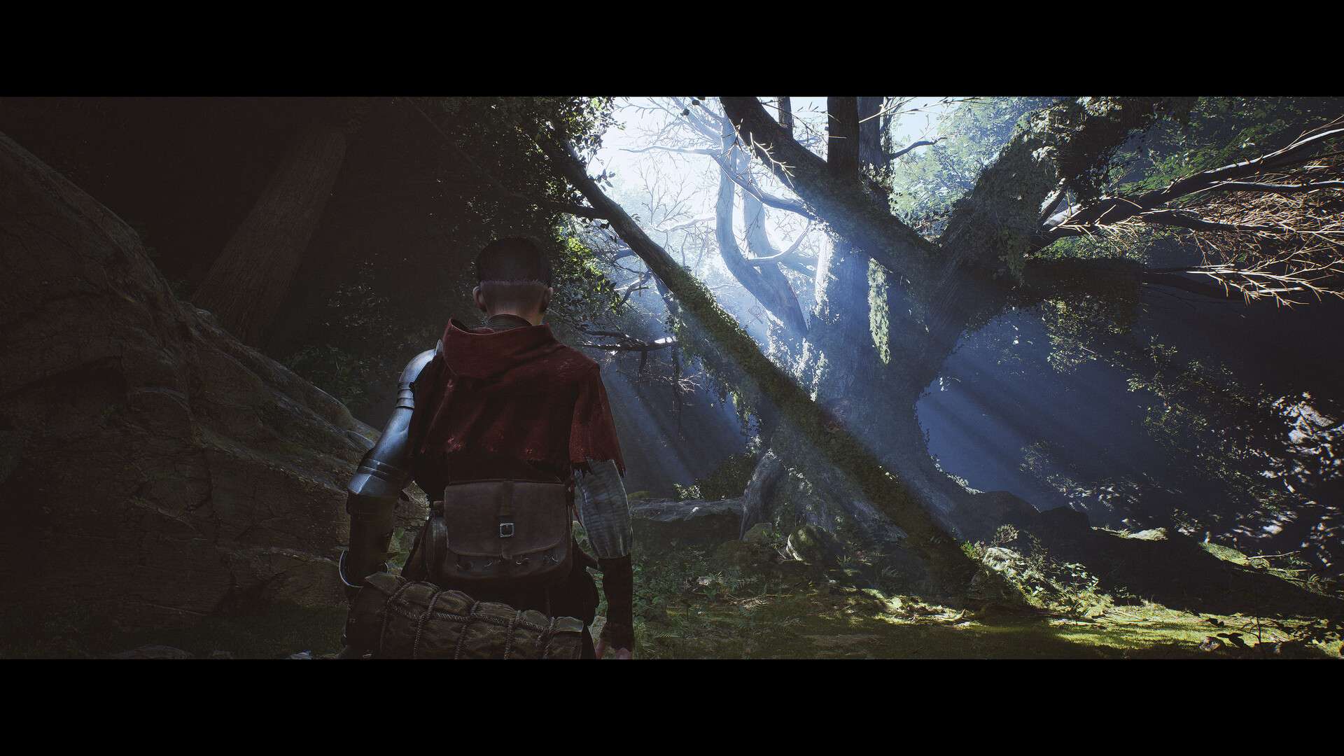 1348：圣誓/1348 Ex Voto_4