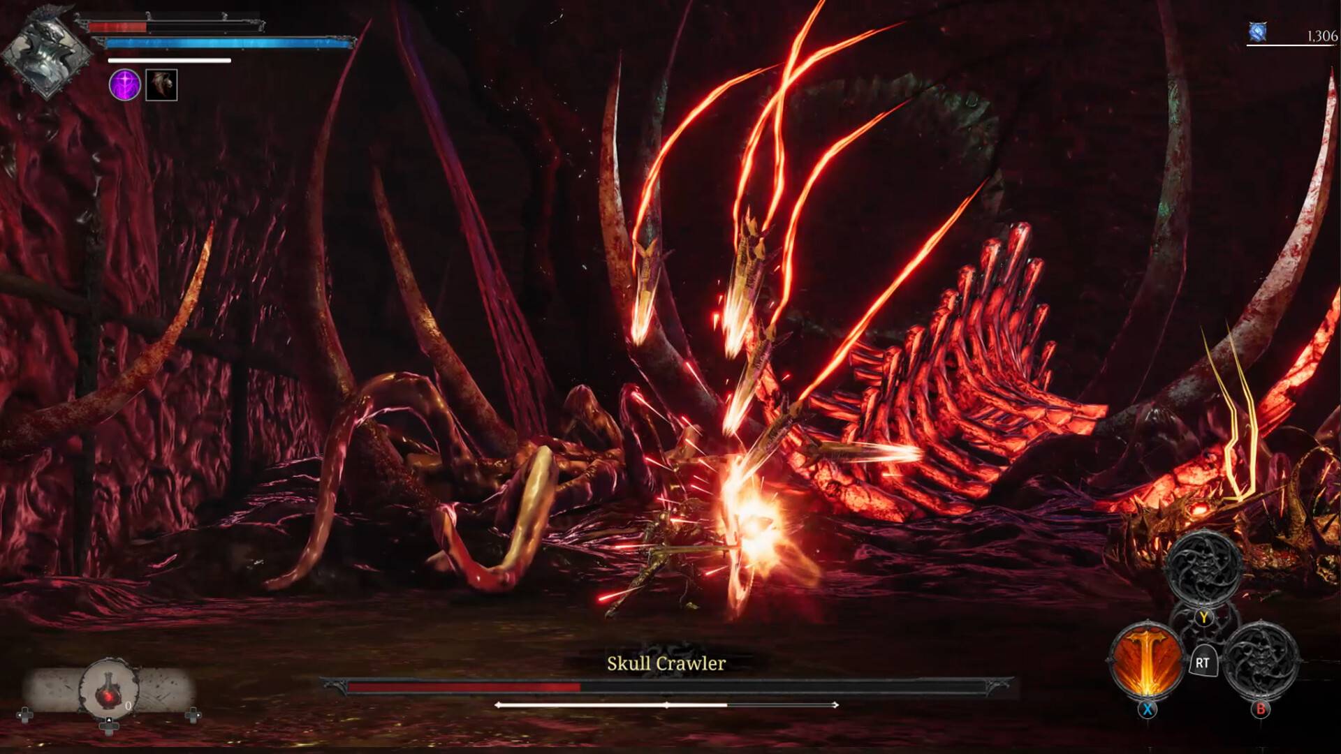 维拉斯特/VELASTER_3