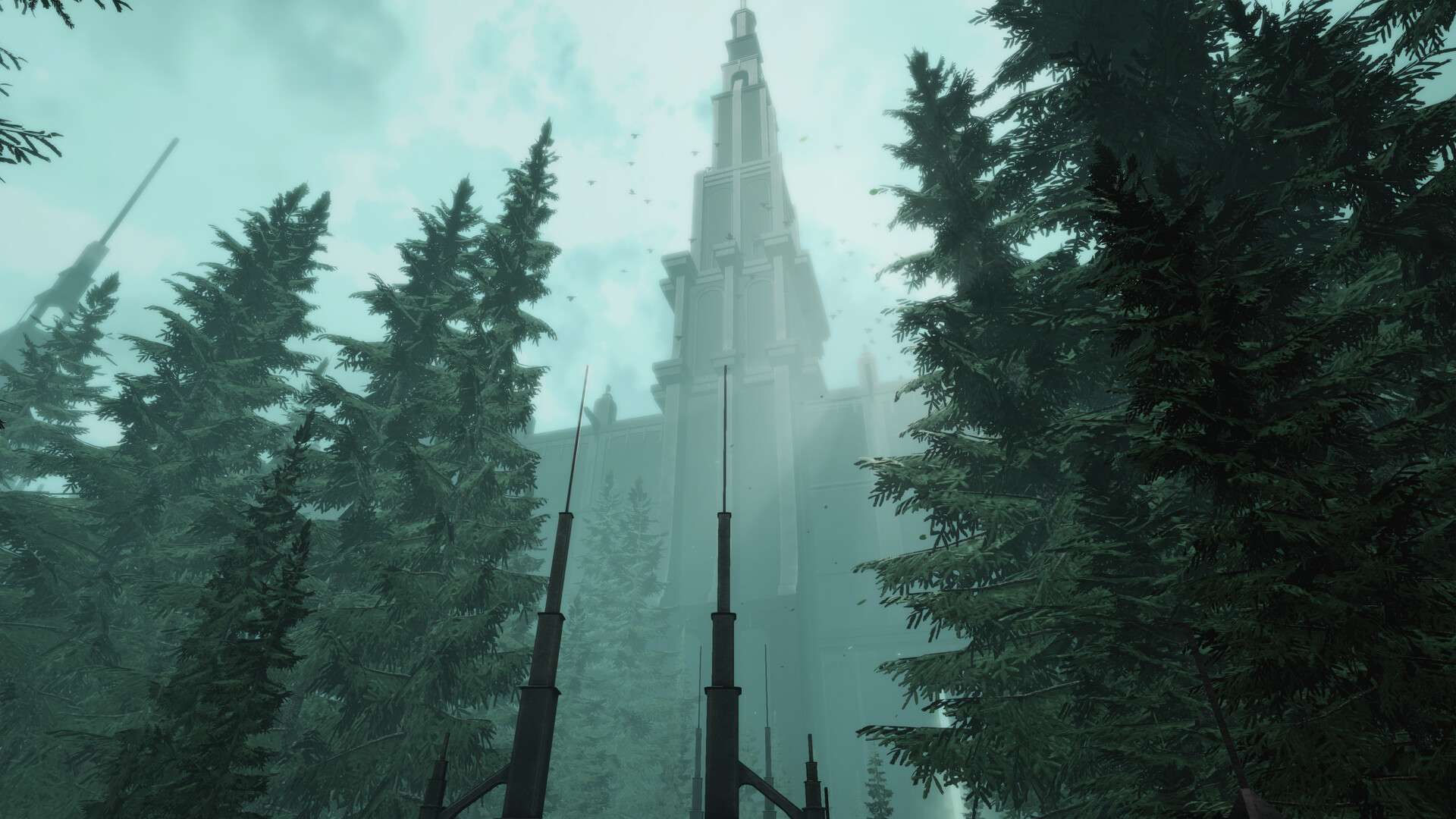 沉默的天鹅/The Silent Swan_0