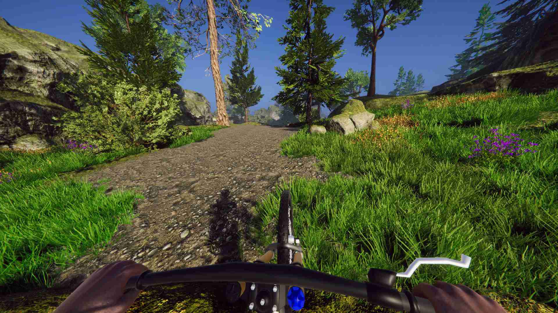 自行车骑手模拟器/Bicycle Rider Simulator_3