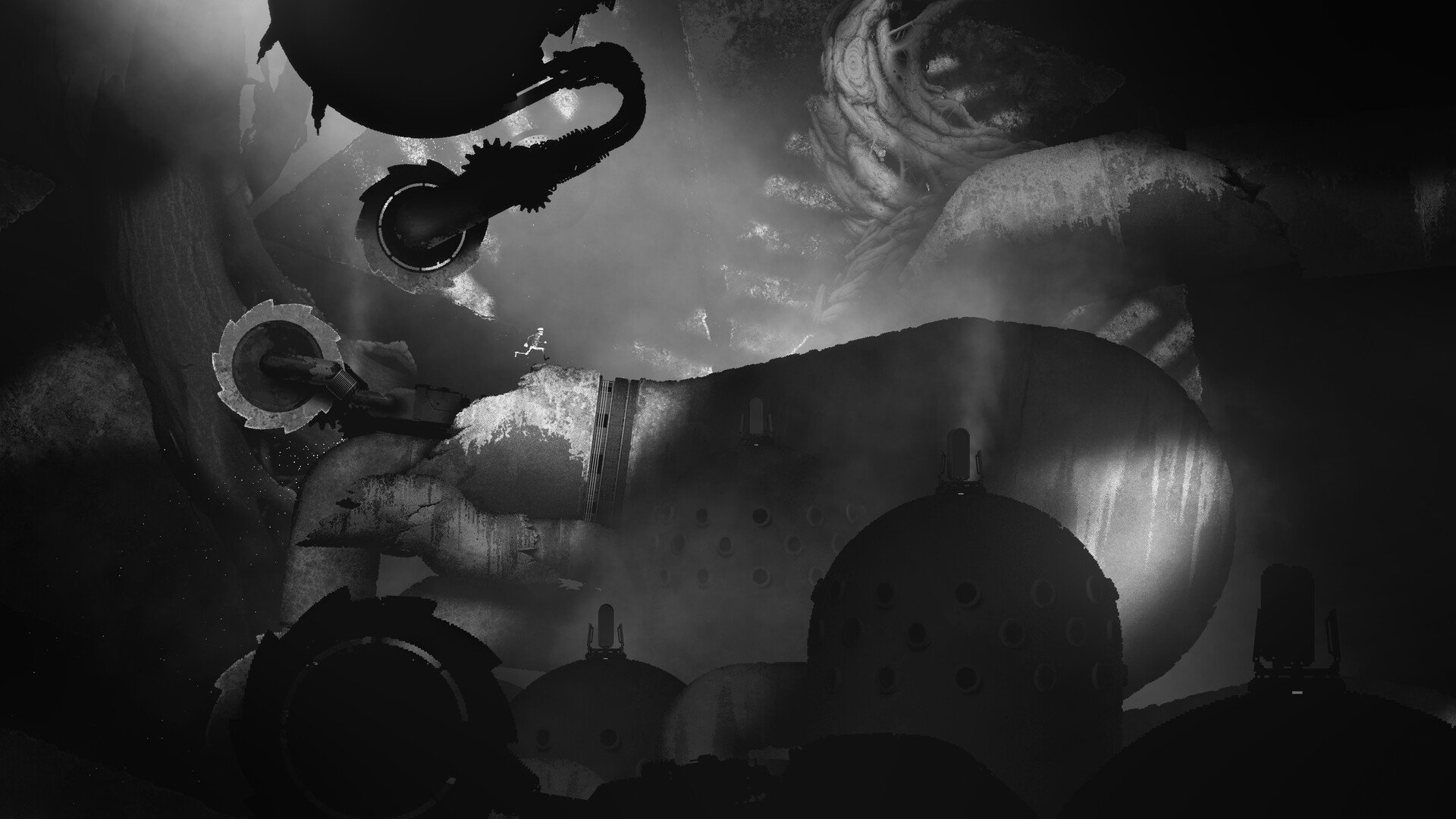 换影循迹/Bionic Bay_2