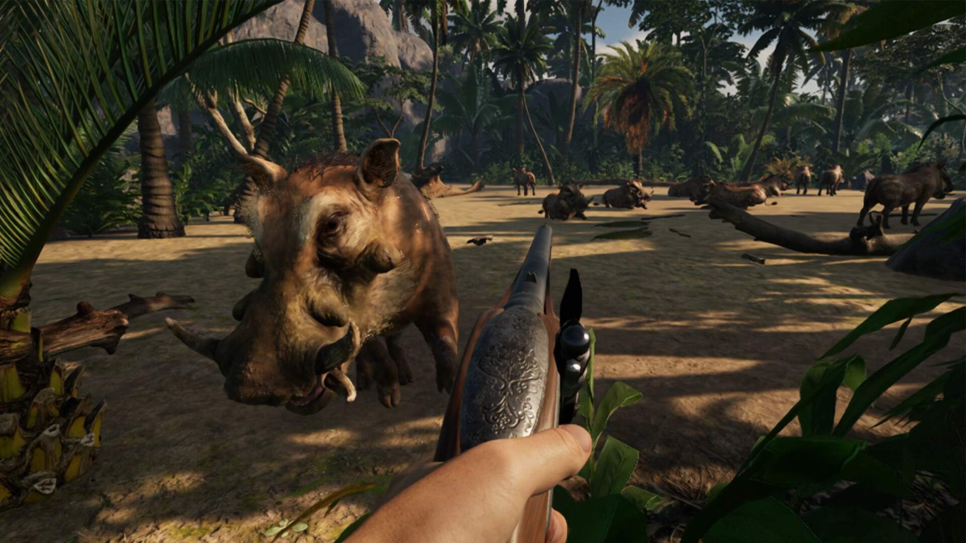 布斯特拉普岛/Bootstrap Island/支持VR_4