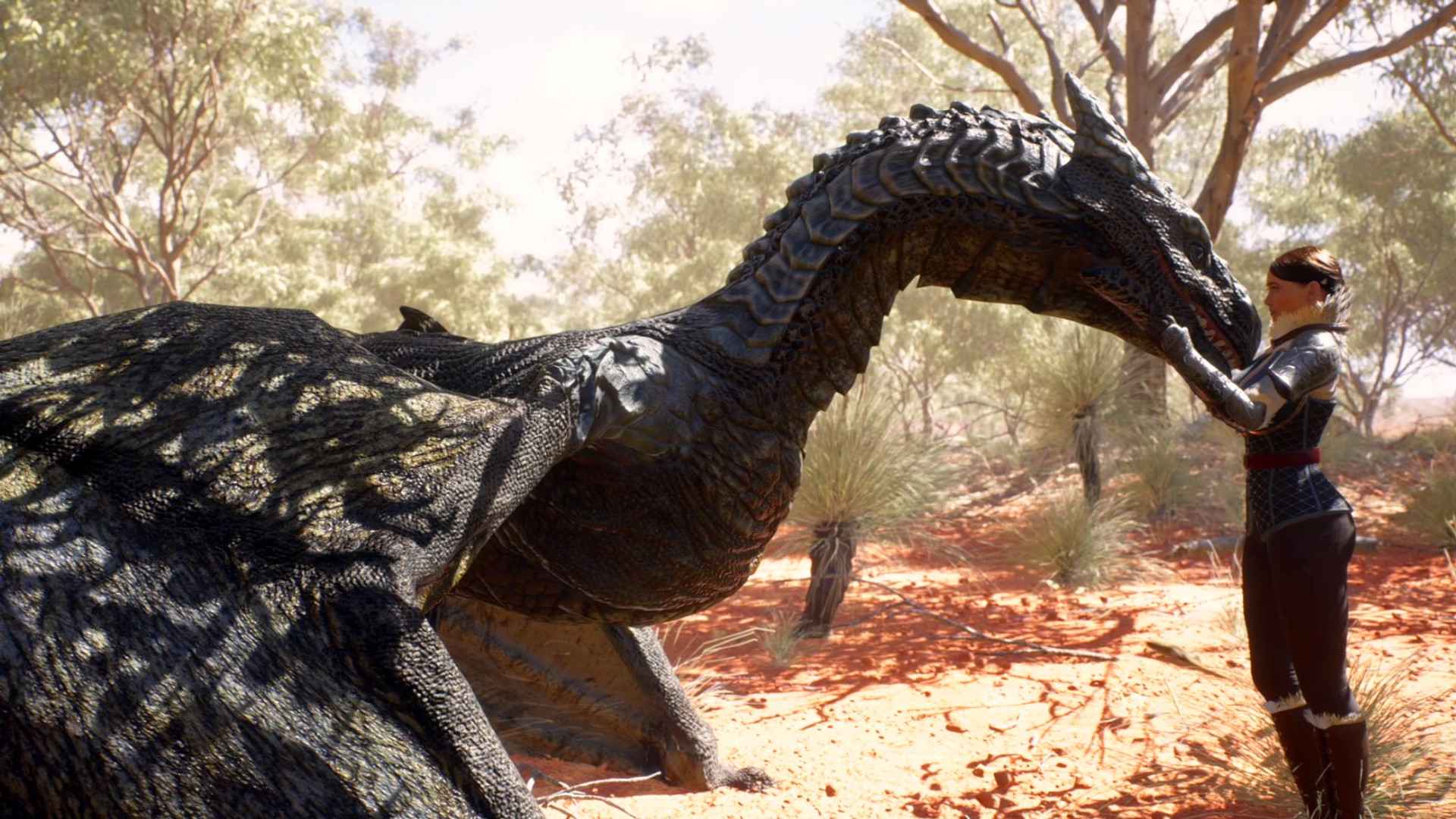 展翅飞翔：英雄的诞生/On the Dragon Wings - Birth of a Hero_0