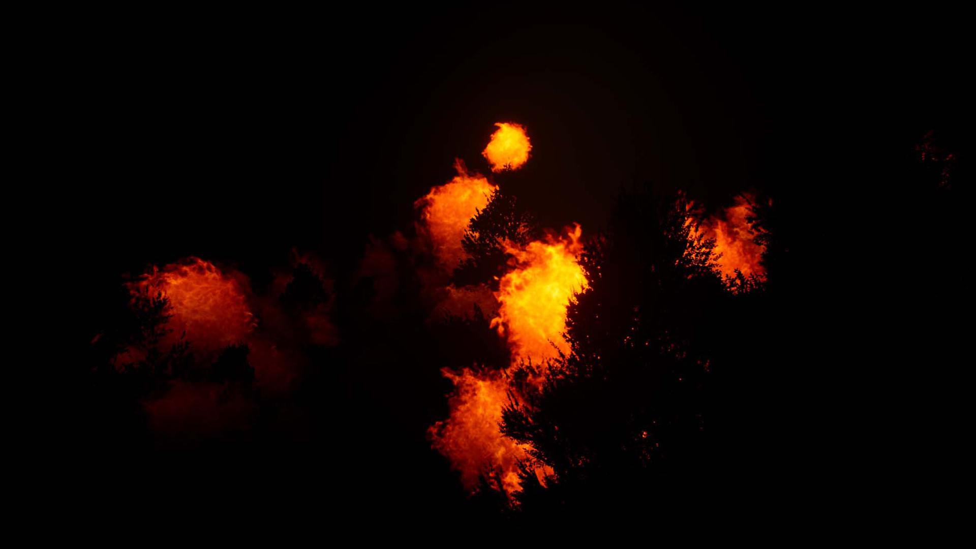 鹿之旅/Deer Journey_4