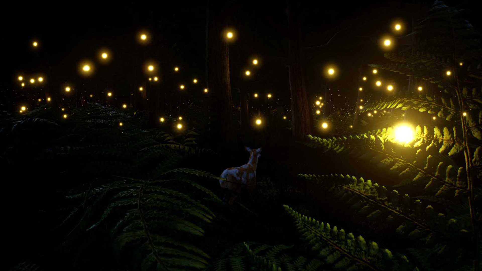 鹿之旅/Deer Journey_2