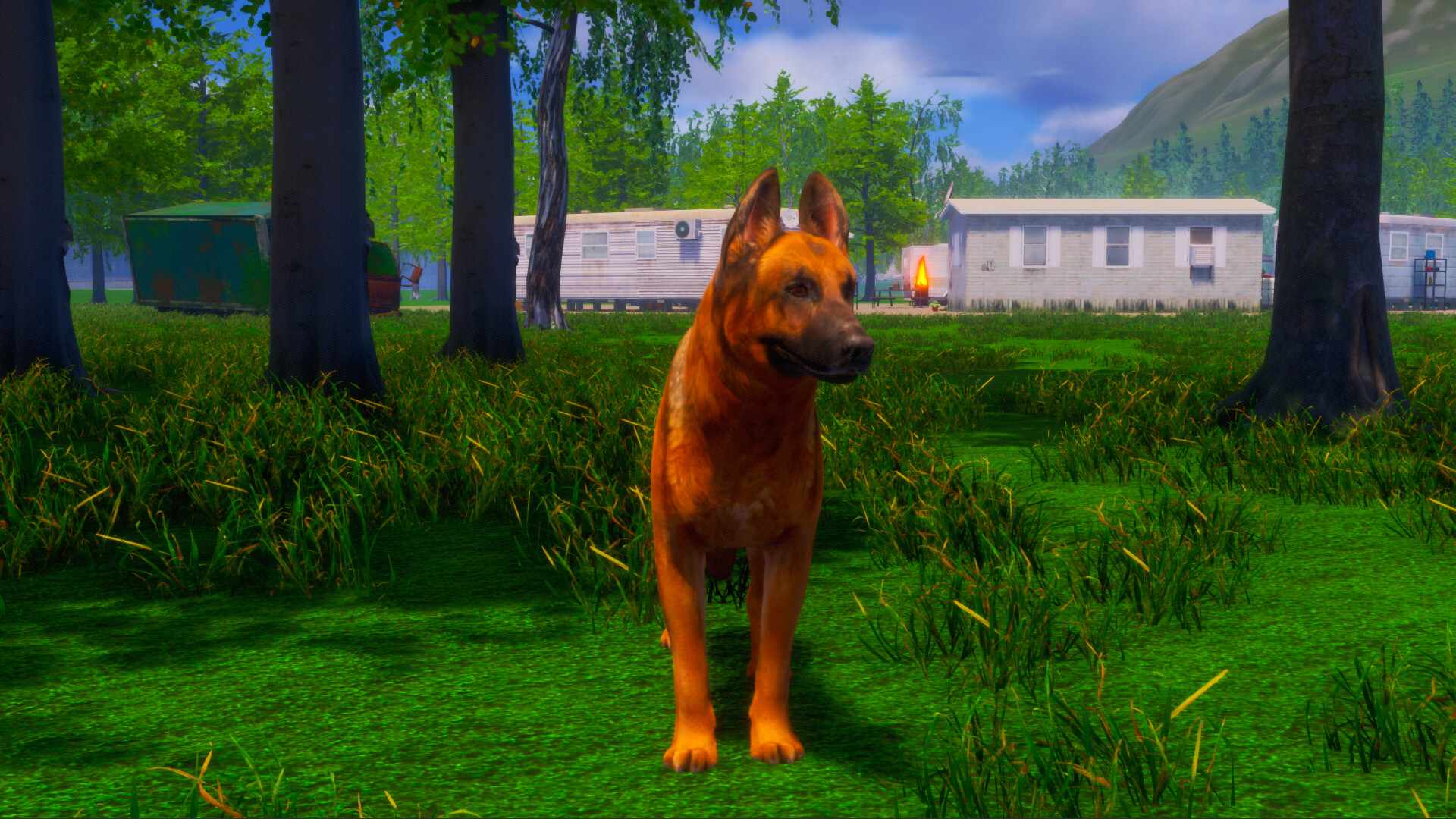 迷途狗爪/Lost Paws_3