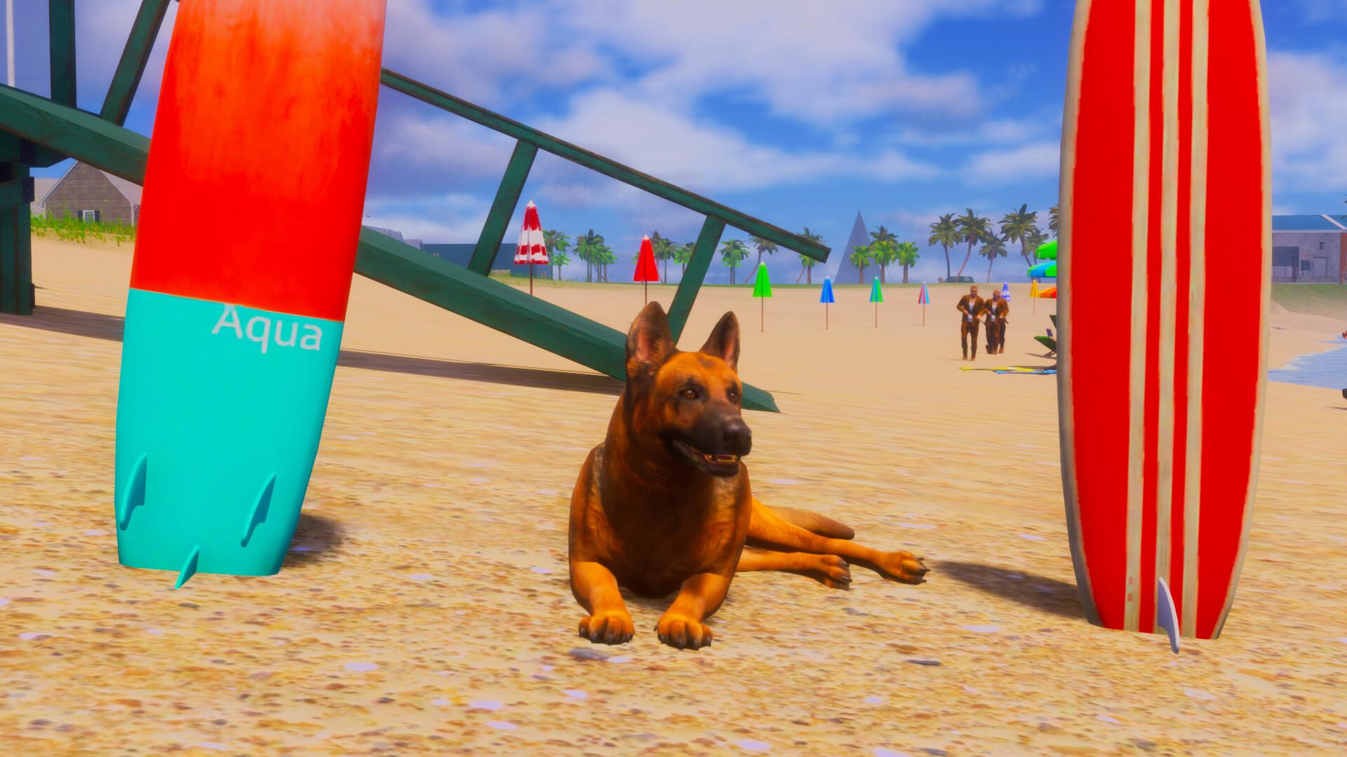 迷途狗爪/Lost Paws_0