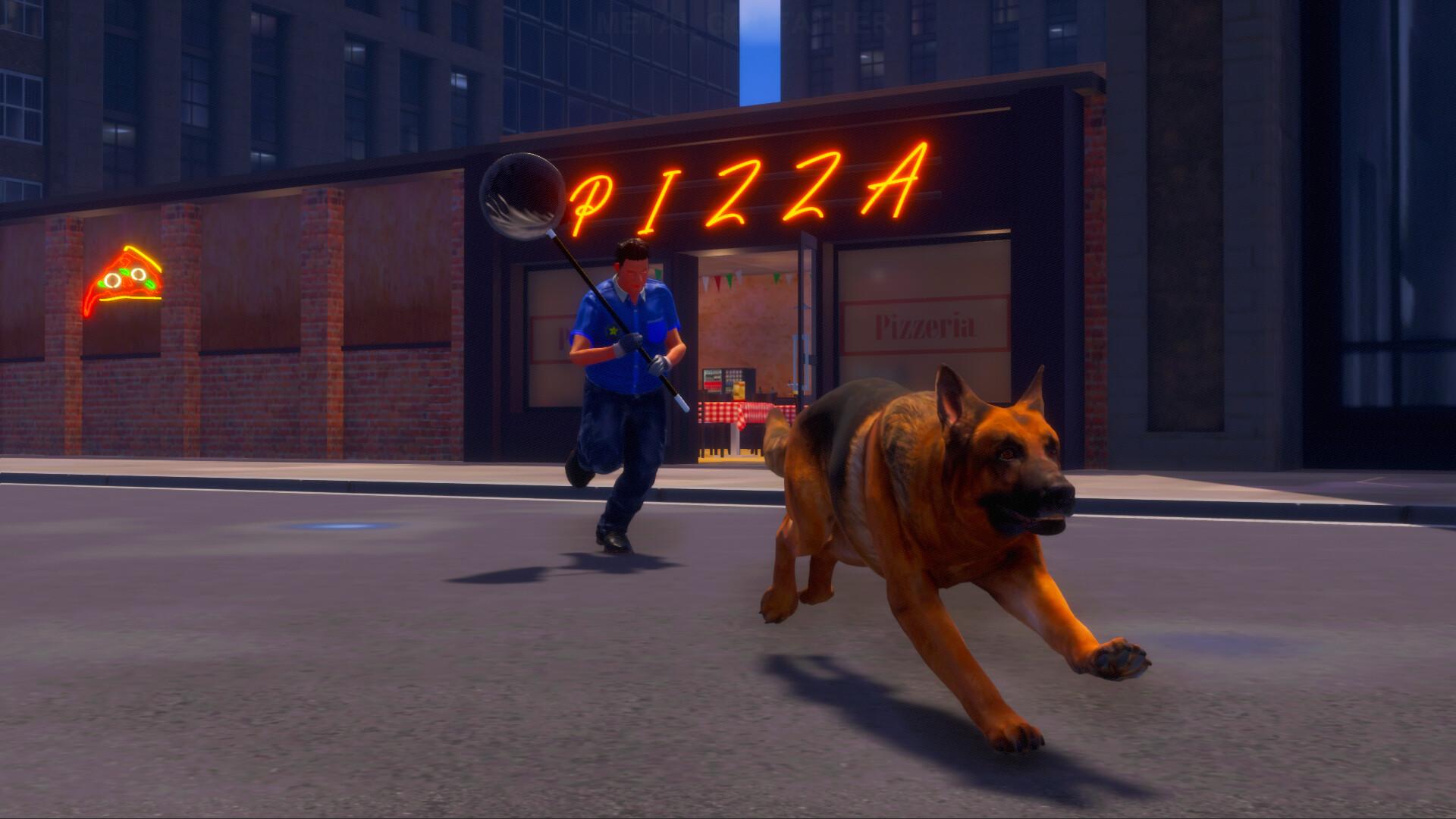 迷途狗爪/Lost Paws_1