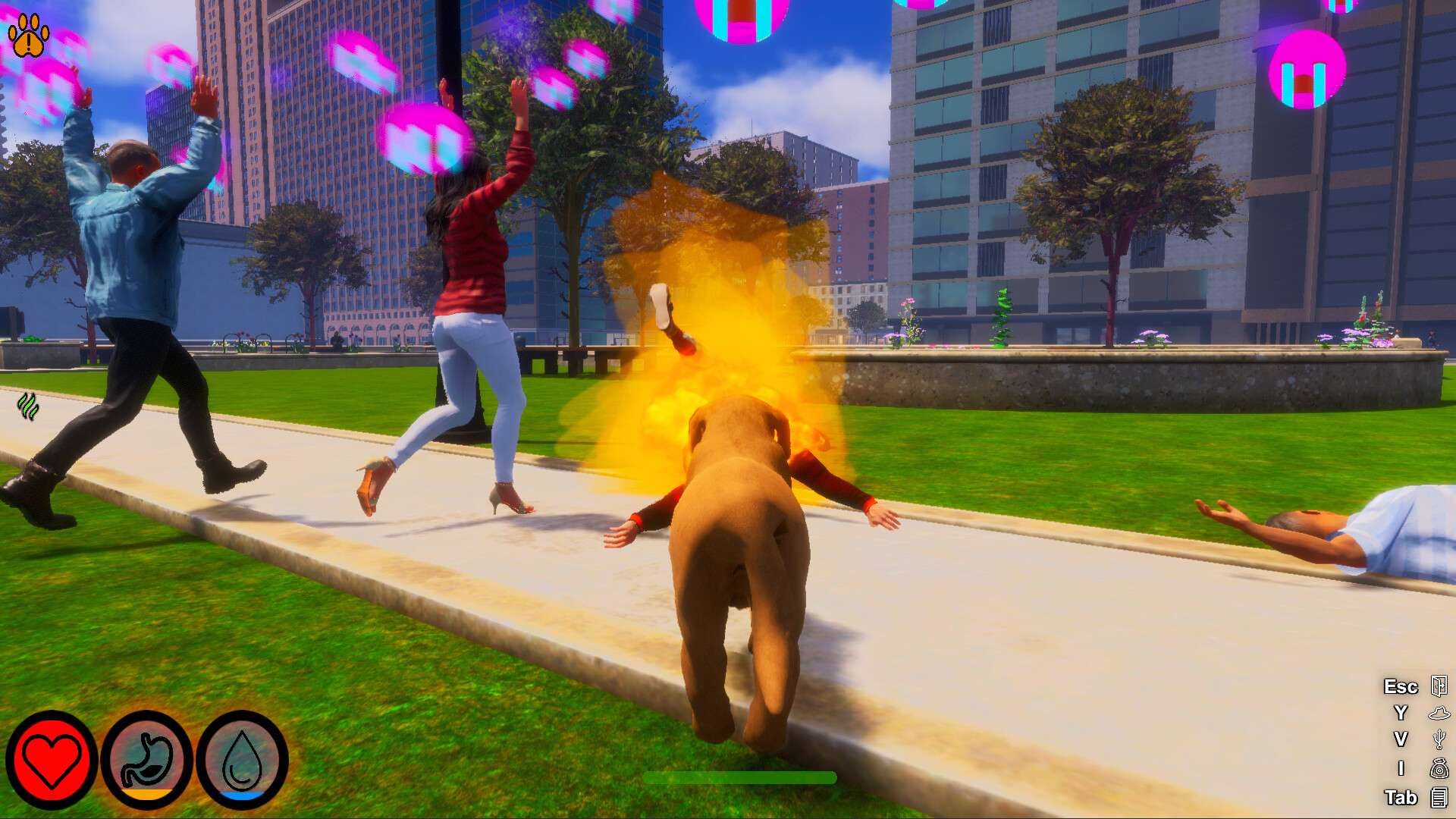 迷途狗爪/Lost Paws_2