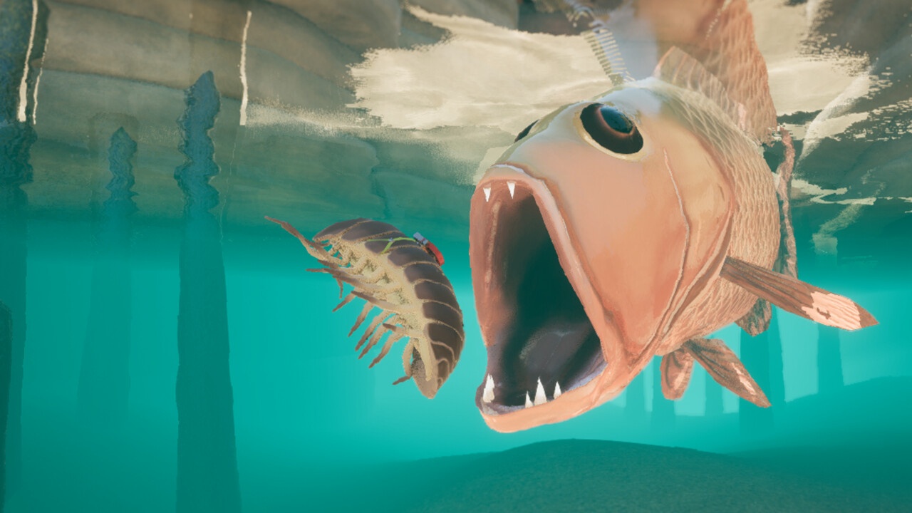 等足虫：网境外传/Isopod: A Webbed Spin-off_1