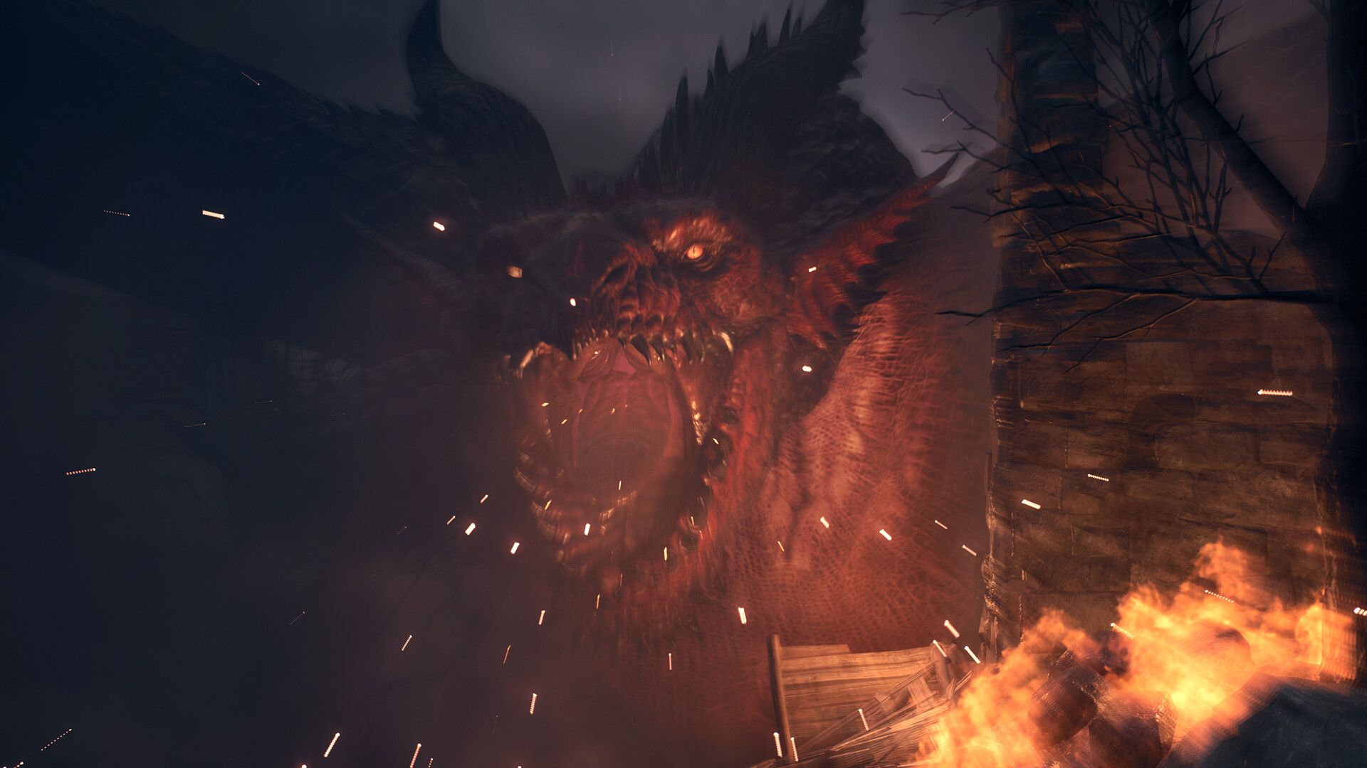 龙之信条2/Dragon's Dogma 2_1