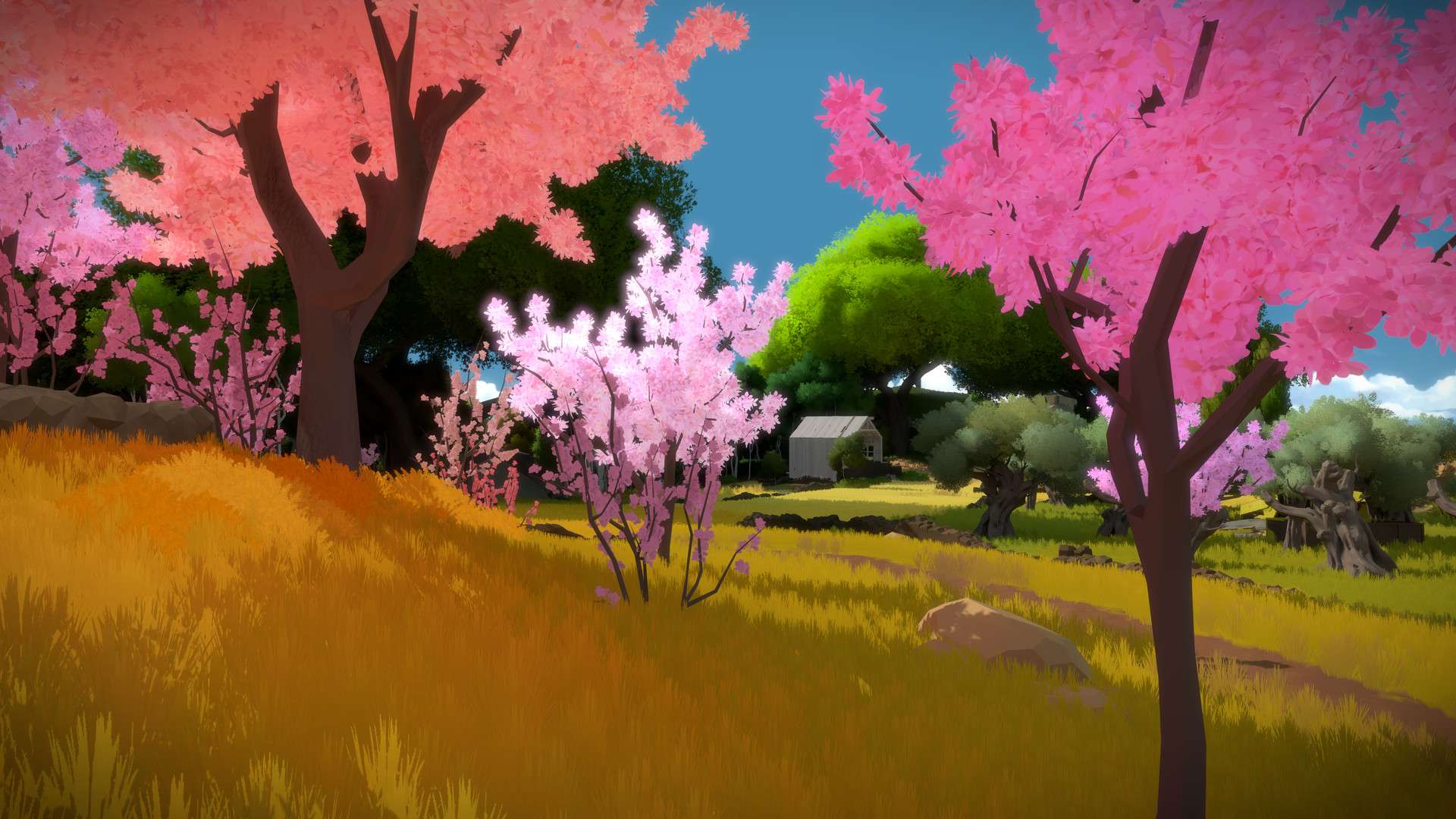 目击者/见证者/The Witness_3