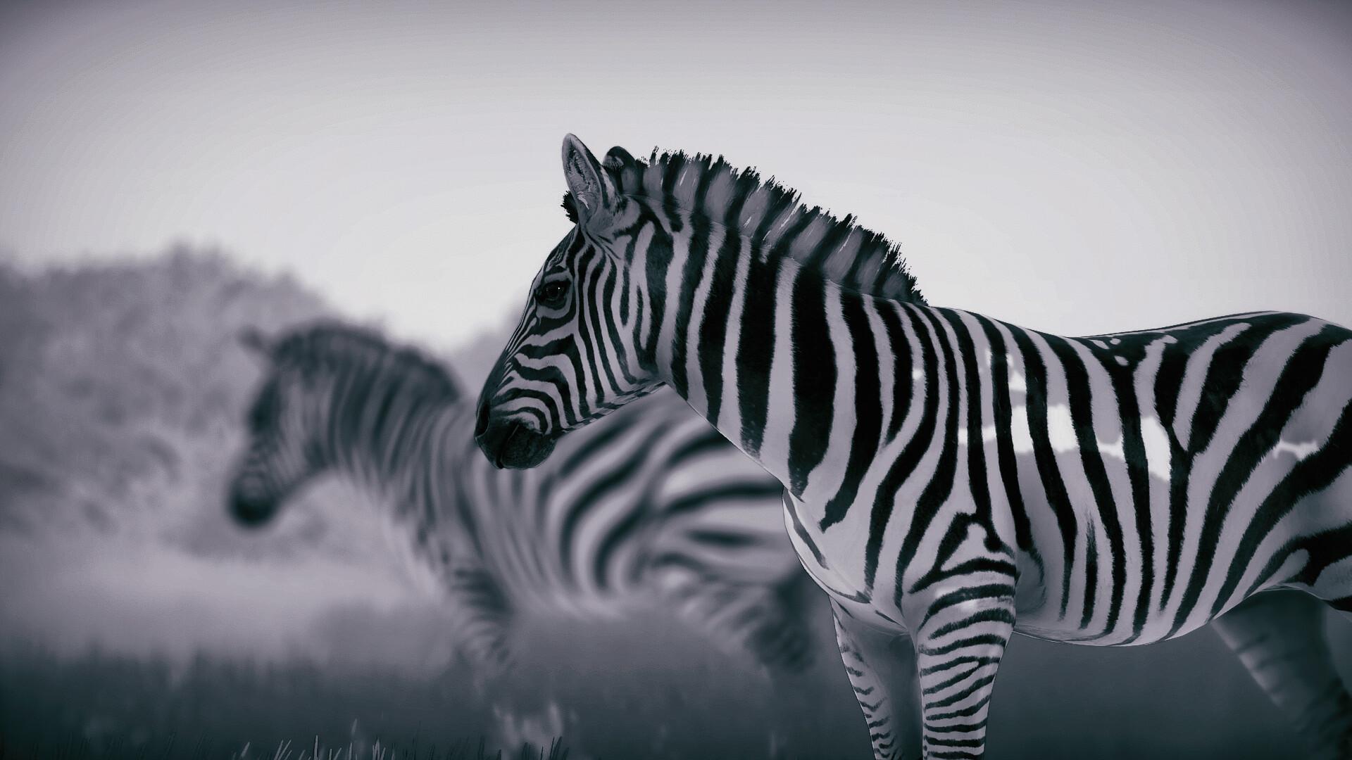 幽居之境/Seclusa_1