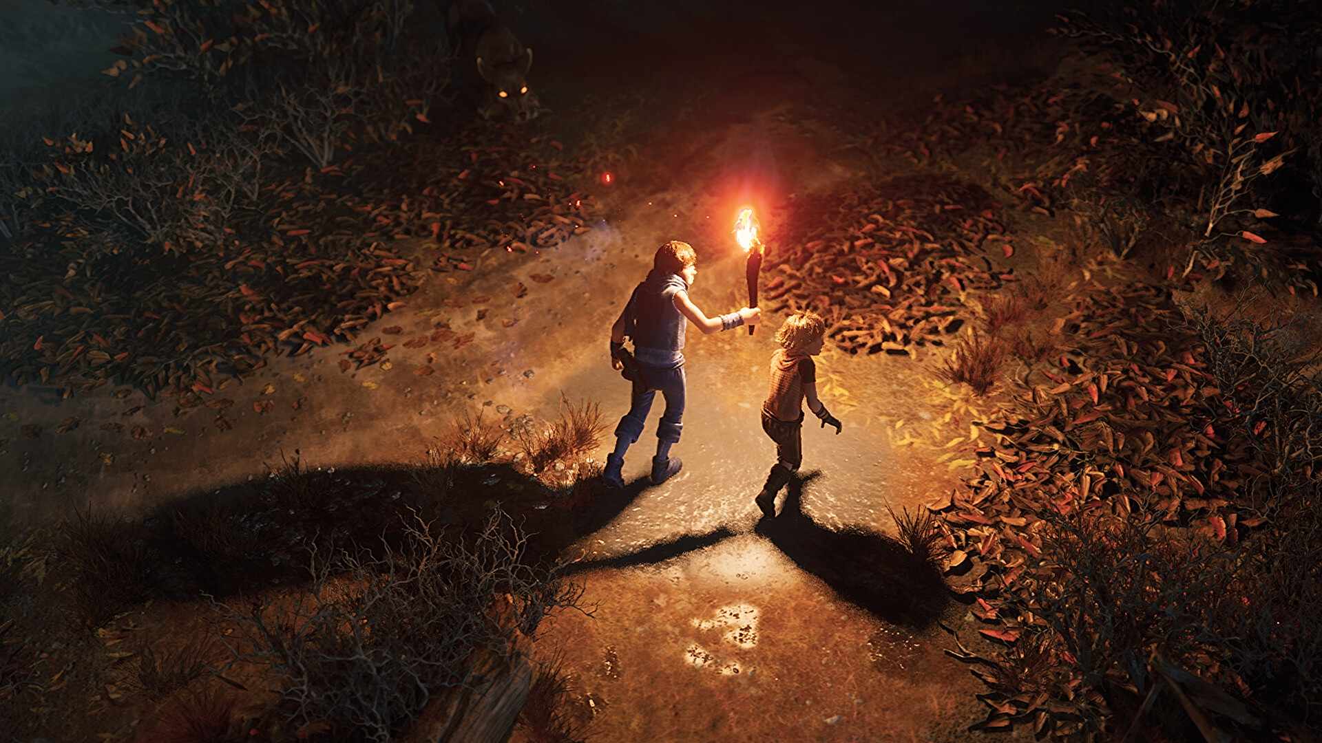 兄弟：双子传说 重制版/Brothers: A Tale of Two Sons Remake_0