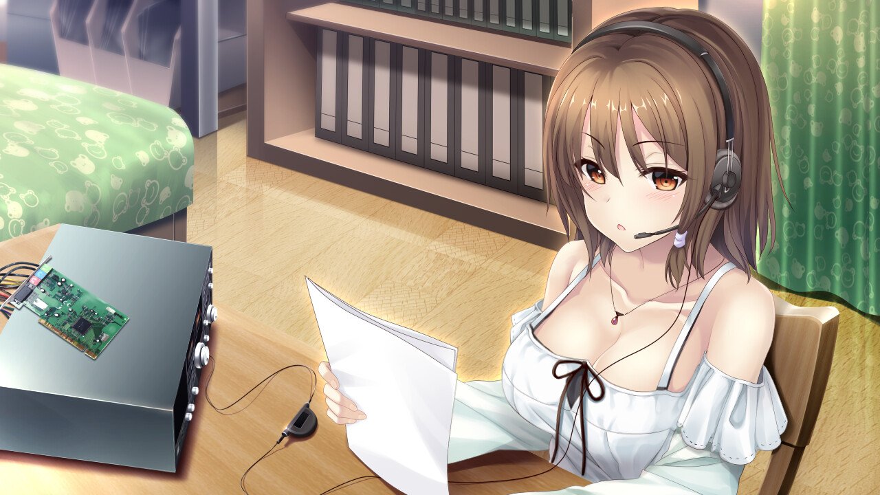 未来广播与人工鸽/The Future Radio and the Artificial Pigeons_4