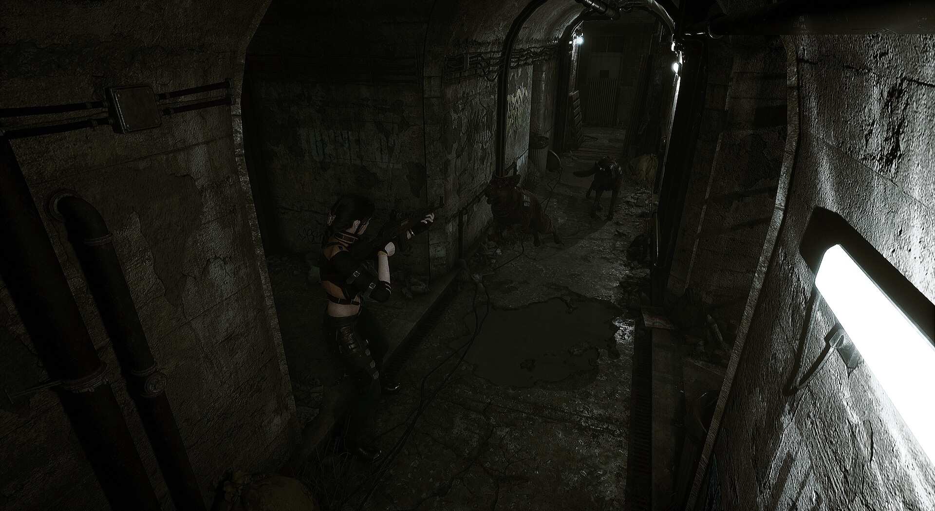 生者回响/Echoes of the Living_5