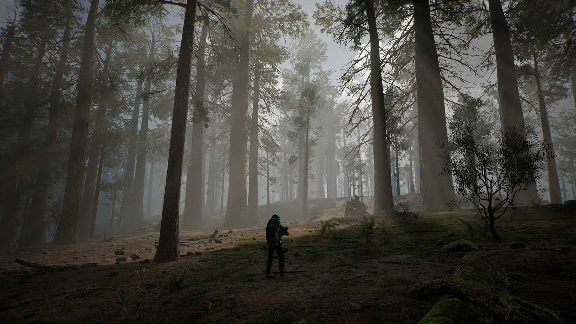 生命效应/LIFE EFFECT_4