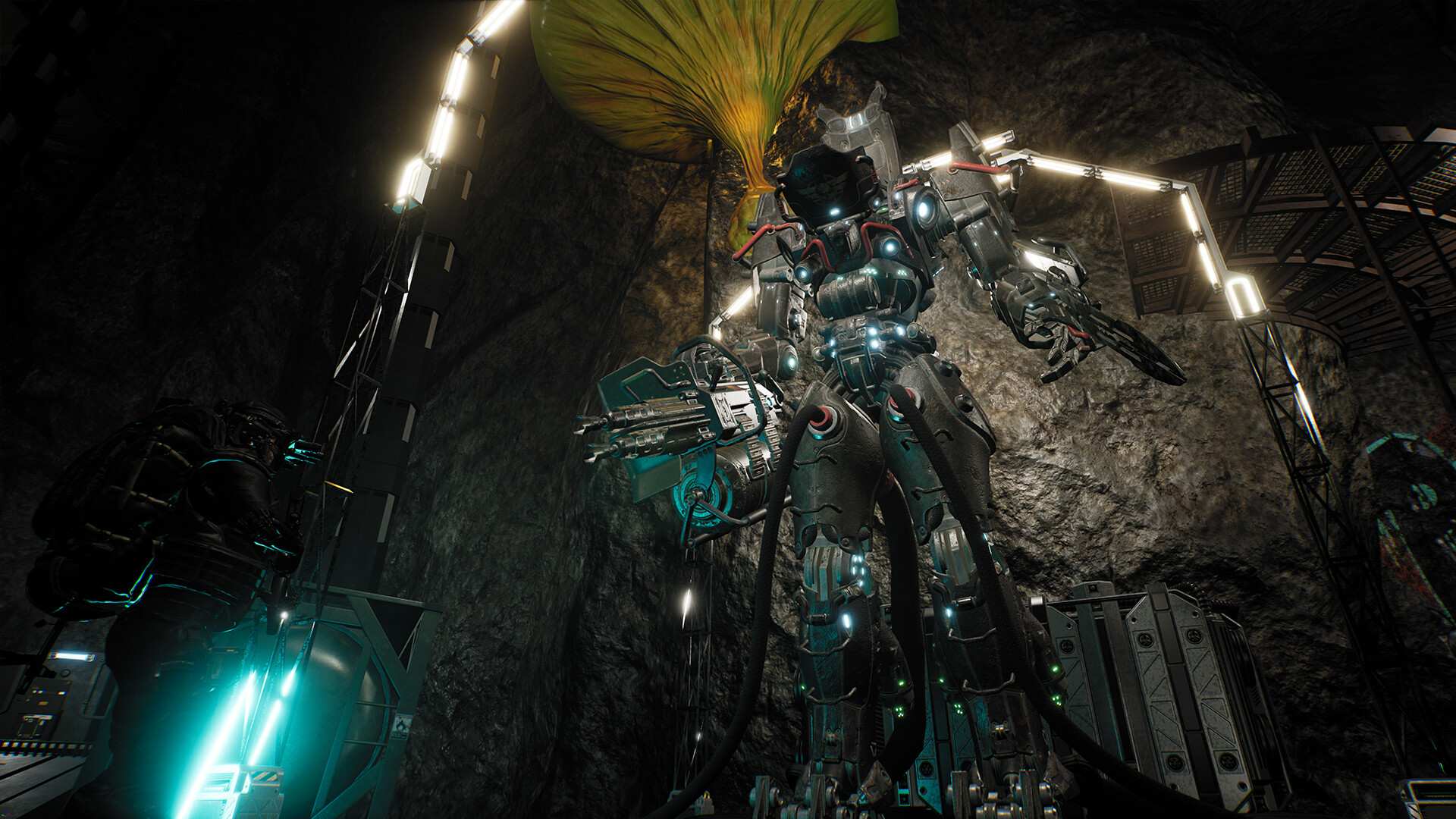 生命效应/LIFE EFFECT_2