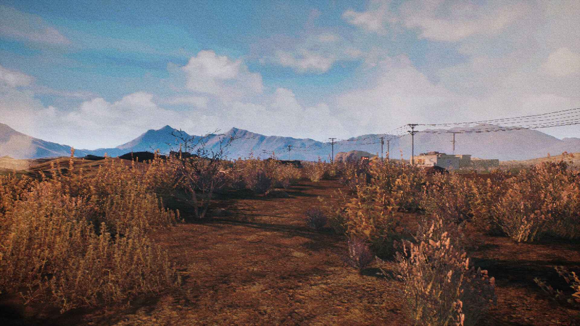 末日等待/While We Wait Here_4