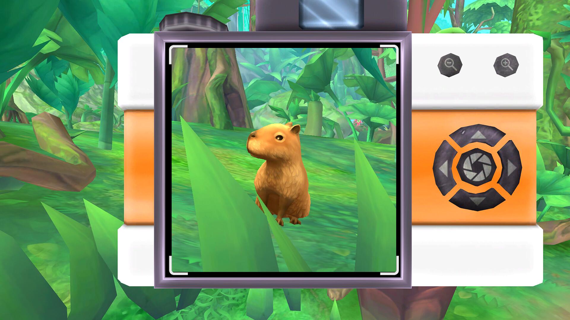 彩翼：雨林梦蝶/Flutter Away_2