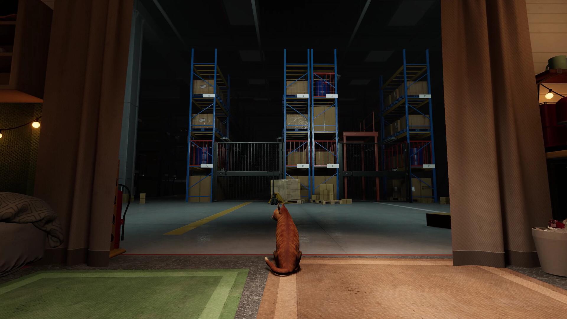 猫好货坏/ORDER 13_0