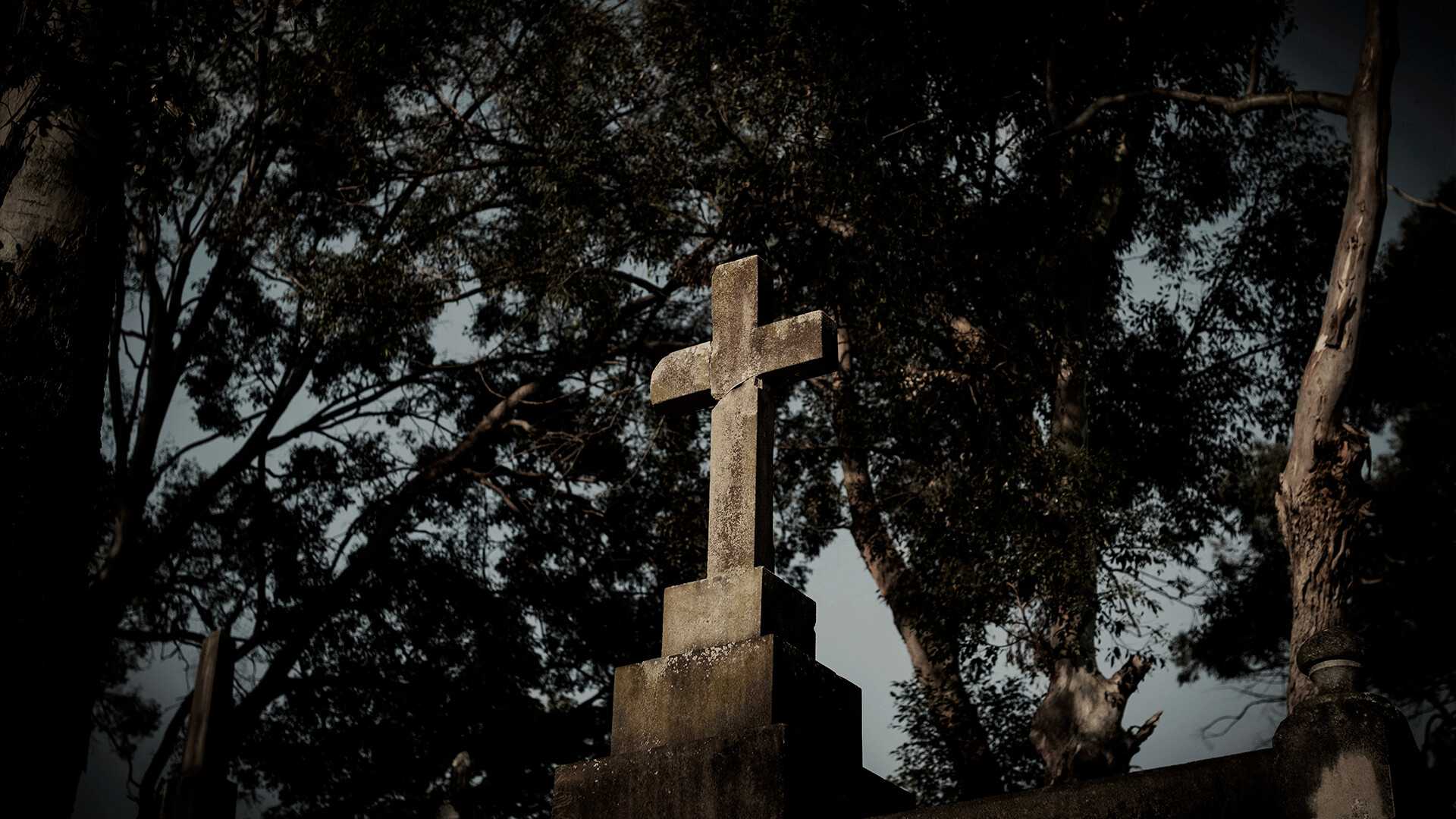 ASZG项目/ASZG Project_0