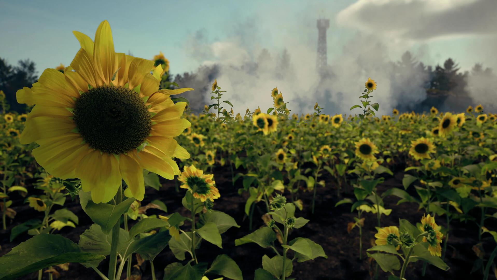 来自头顶的死亡/Death From Above_1