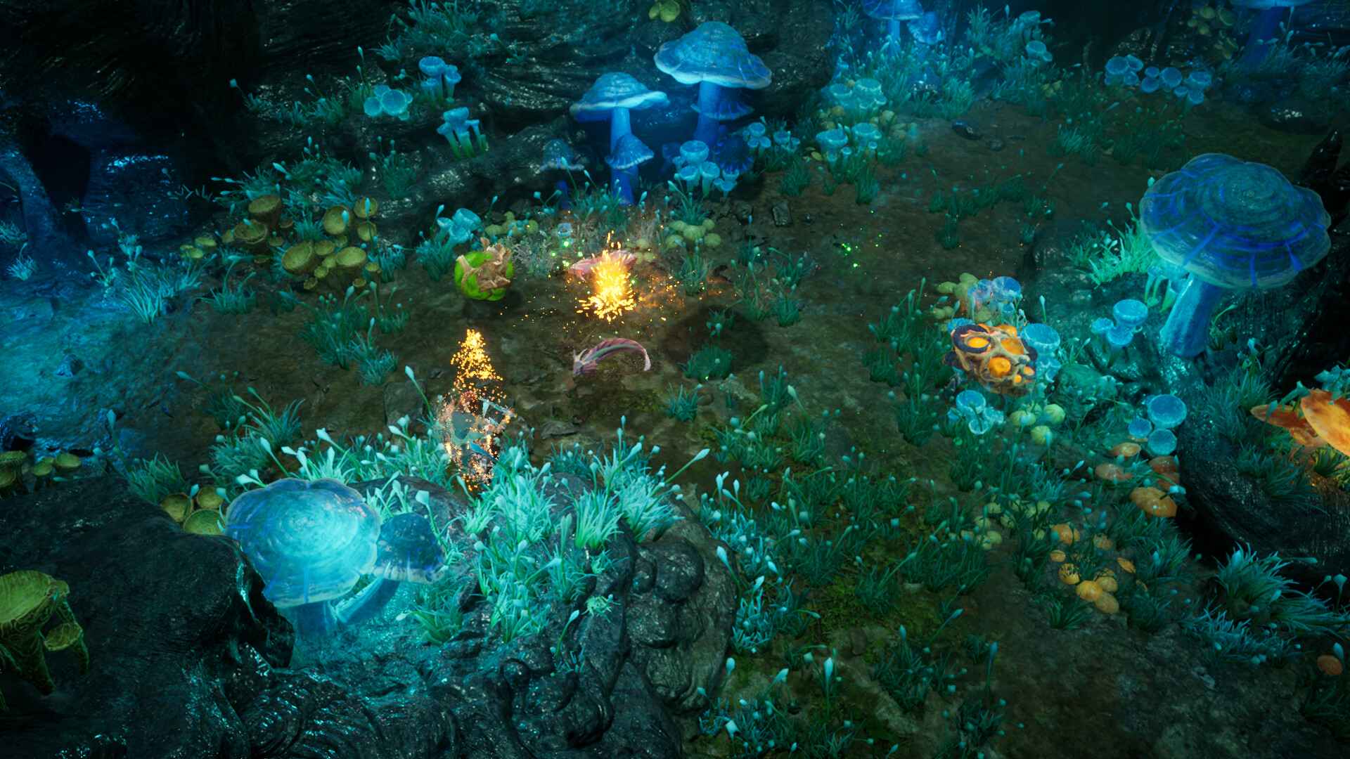 再次崛起/Rise Again_2