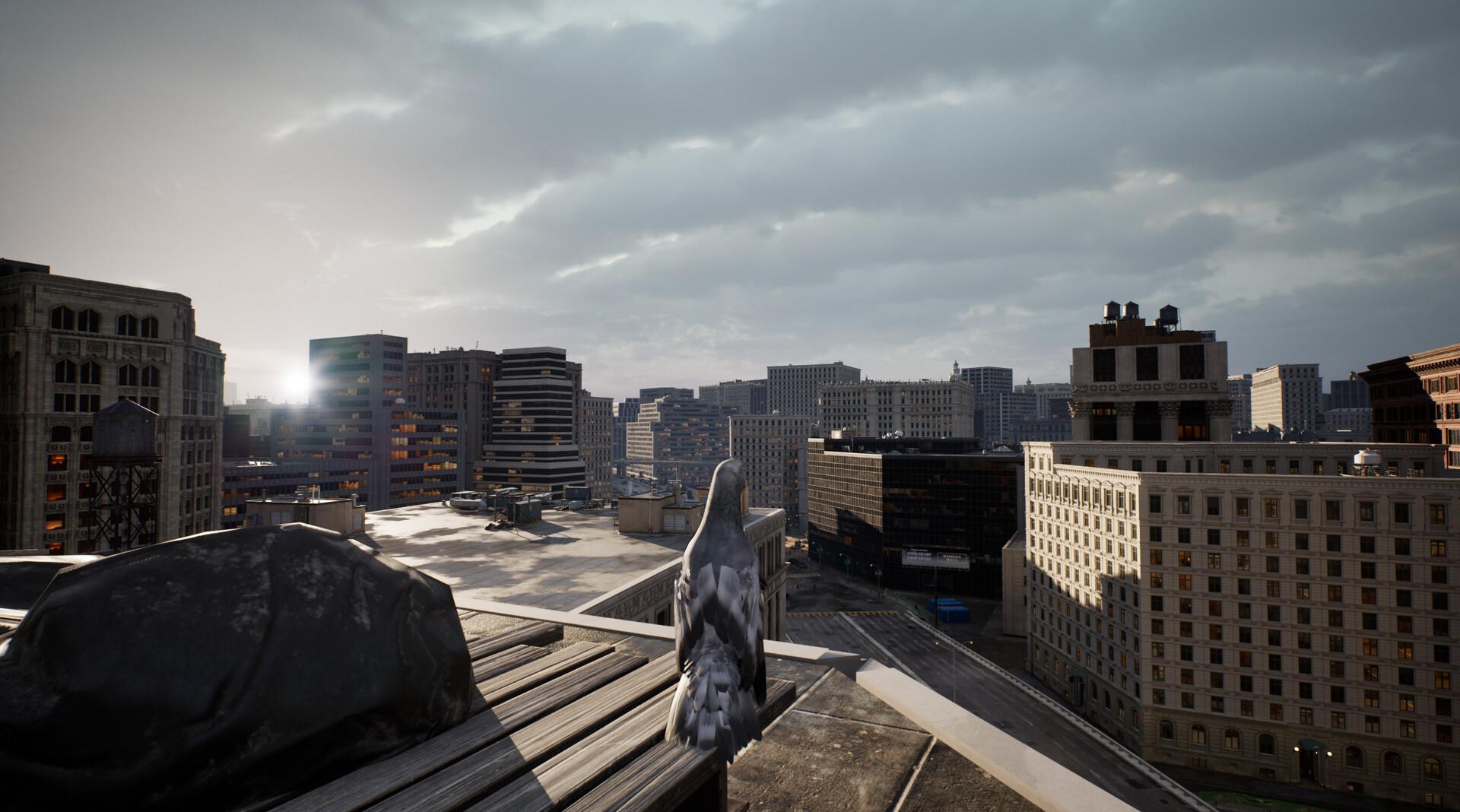 鸽子飞行模拟器/Pigeon Flight Simulator_5