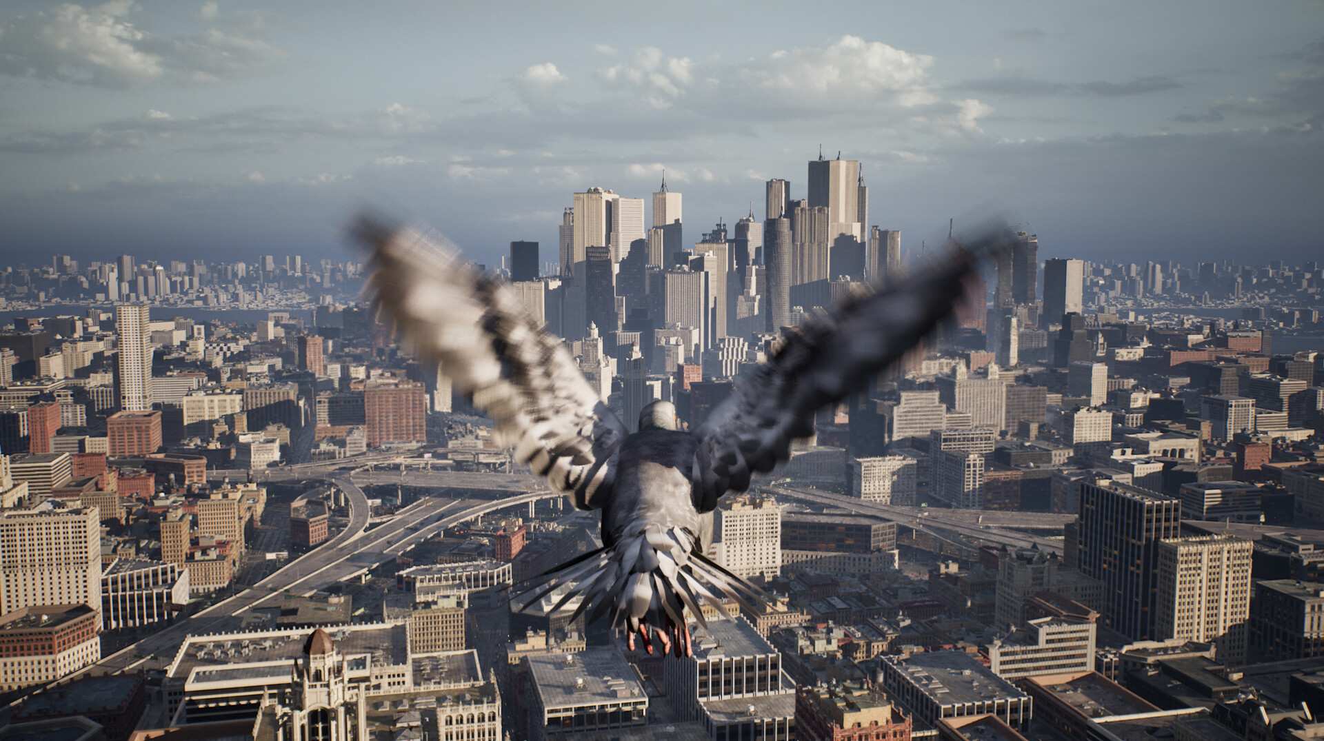 鸽子飞行模拟器/Pigeon Flight Simulator_4