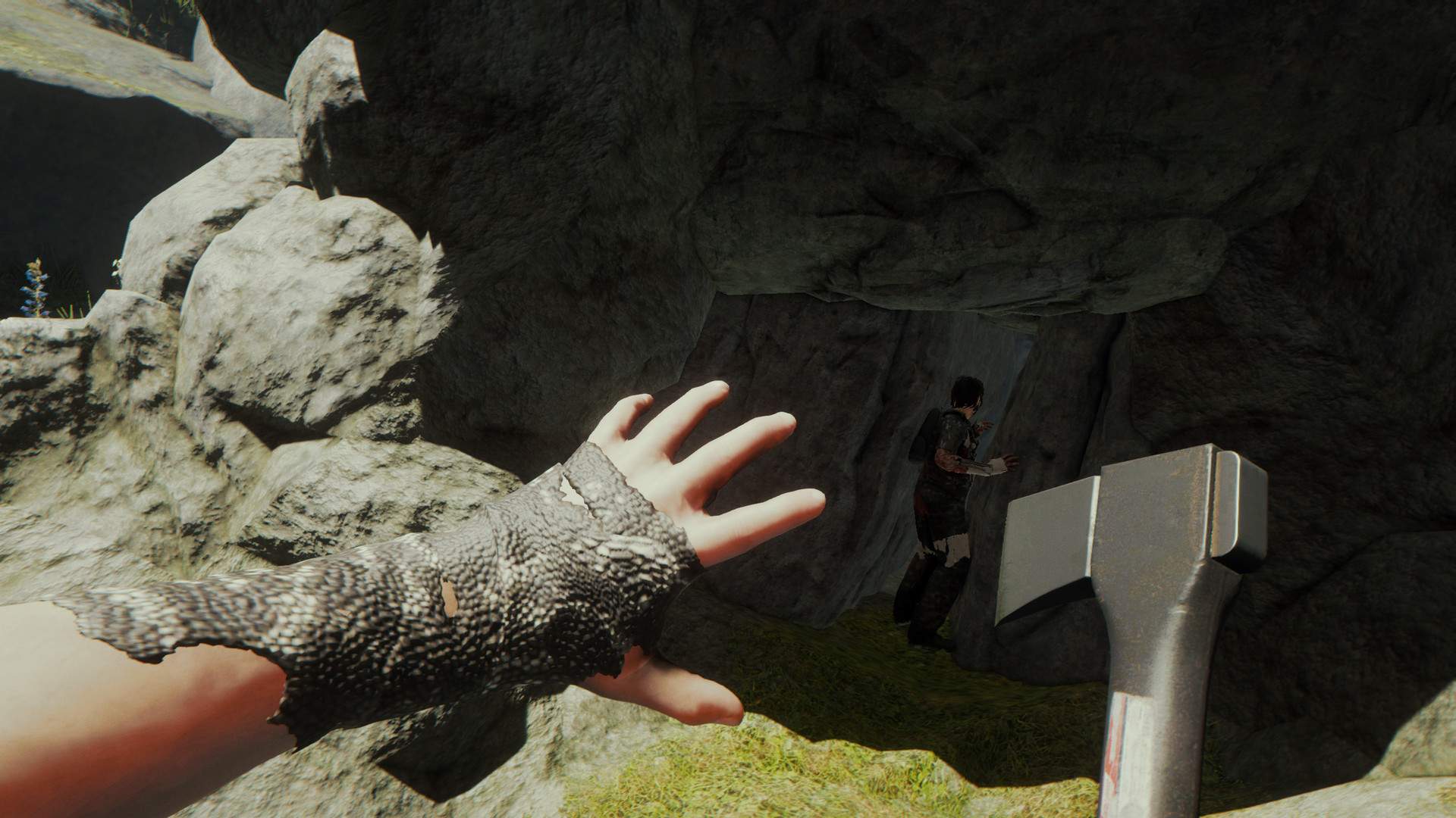 复体/集群/The Complex_0