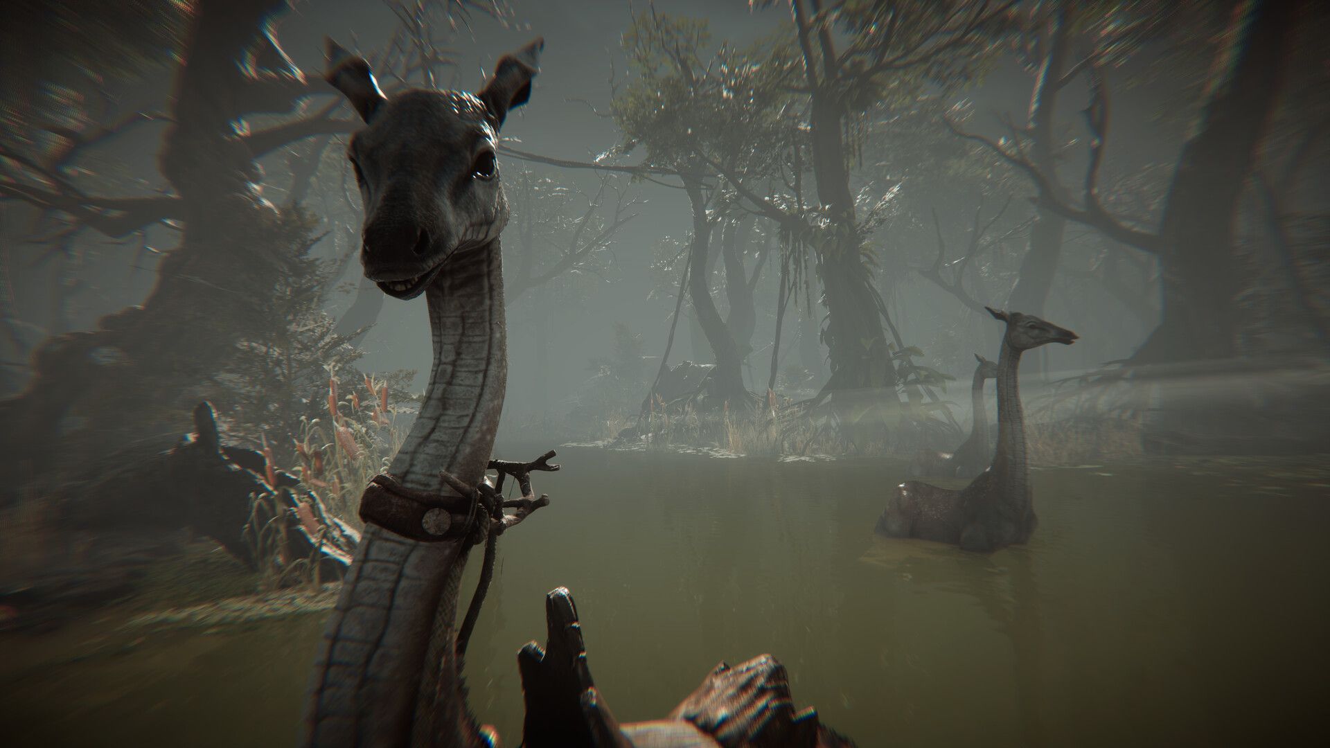 Amerzone：探险家的记忆传承/Amerzone - The Explorer's Legacy_4